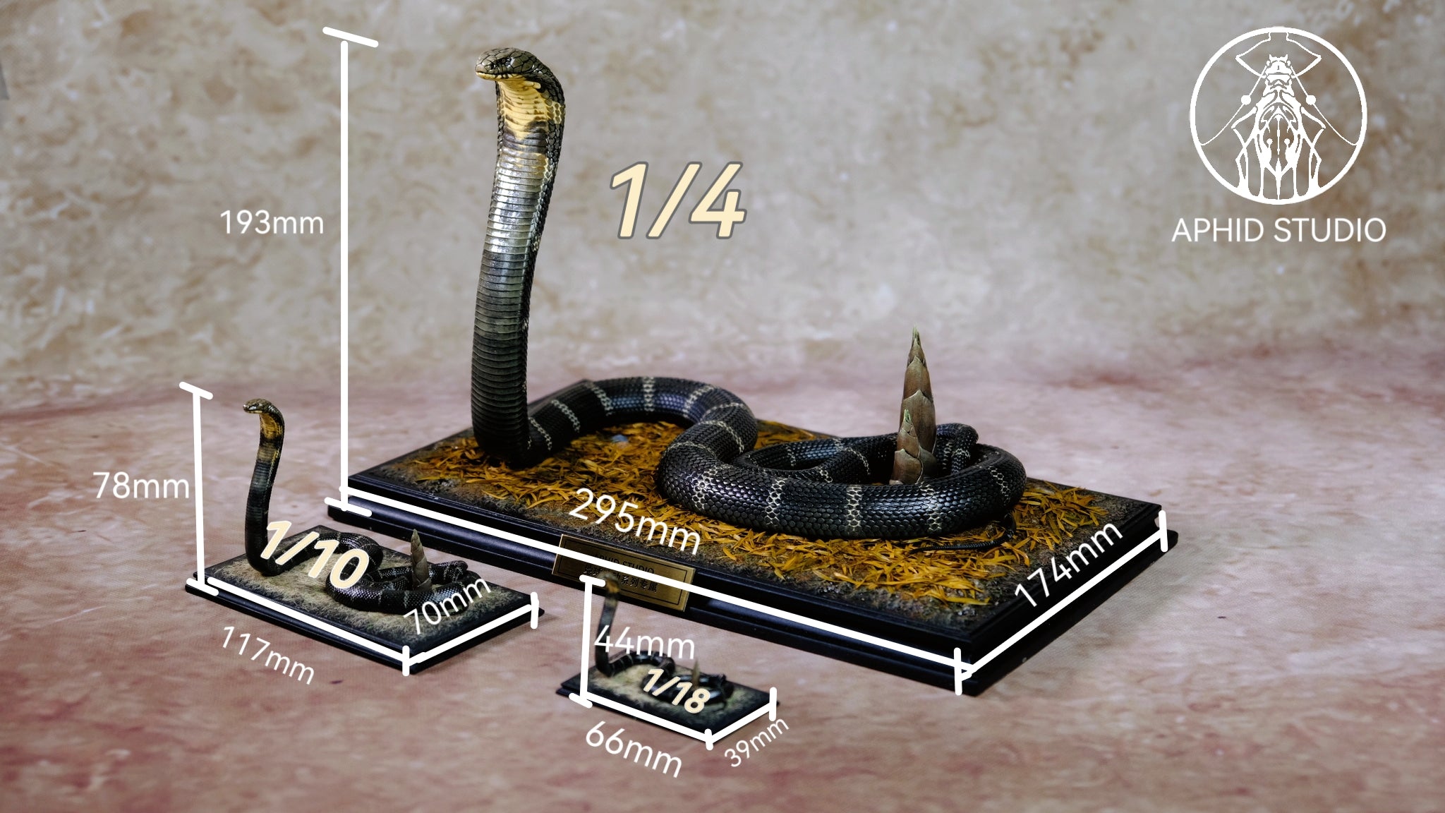 APHID STUDIO Northern King Cobra Model