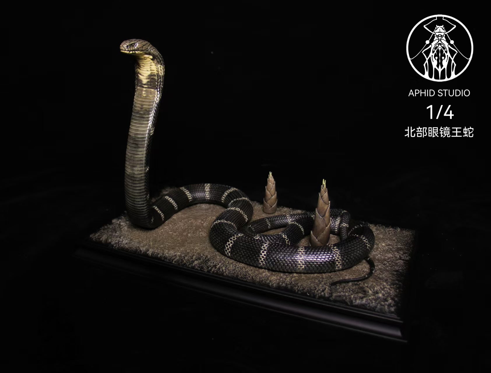APHID STUDIO Northern King Cobra Model