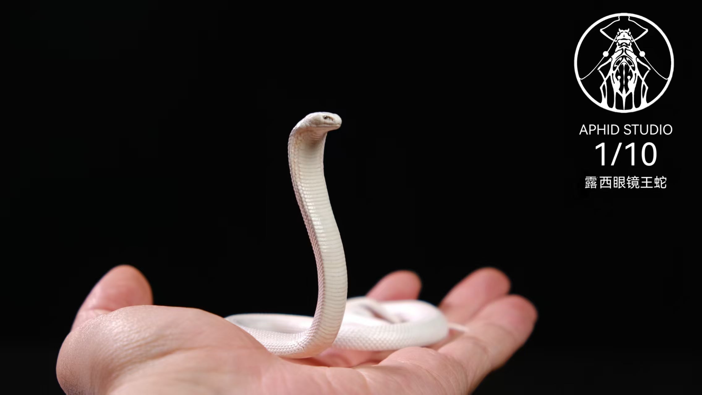 APHID STUDIO Northern King Cobra Model