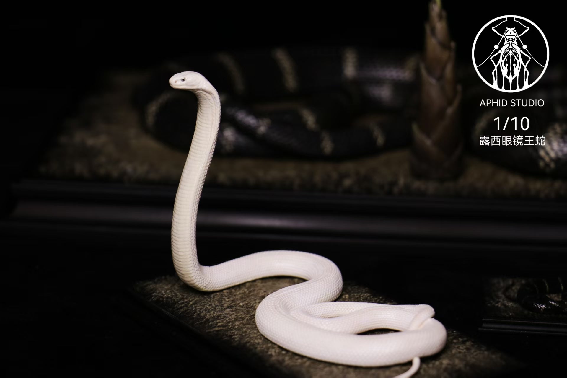 APHID STUDIO Northern King Cobra Model
