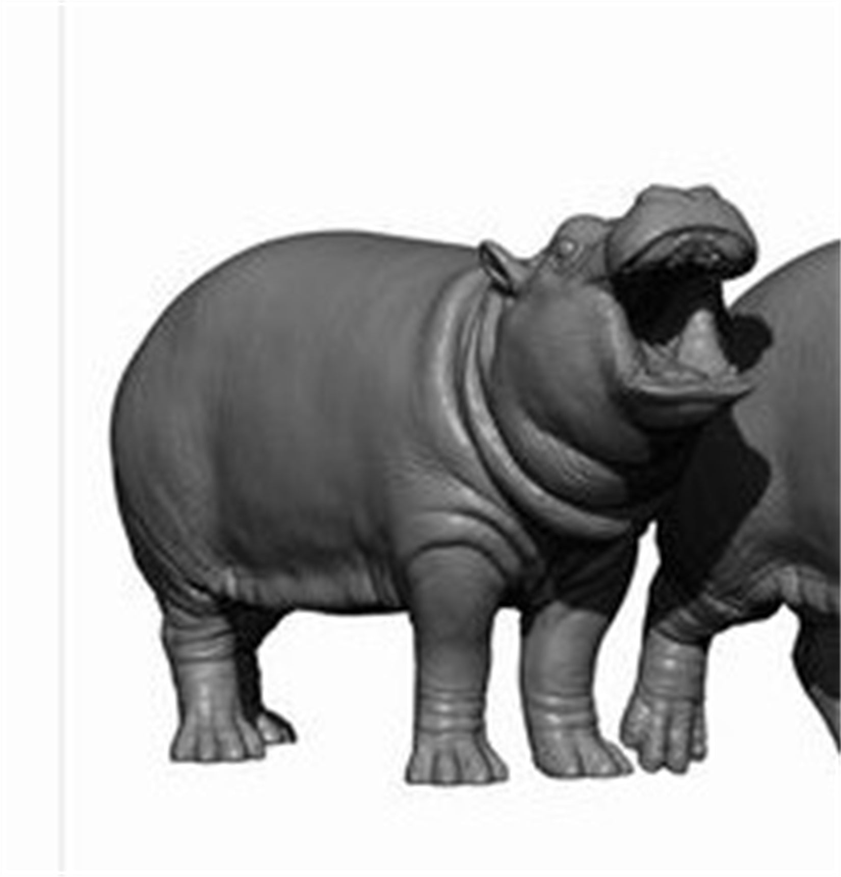 DAFEI Hippopotamus amphibius Model