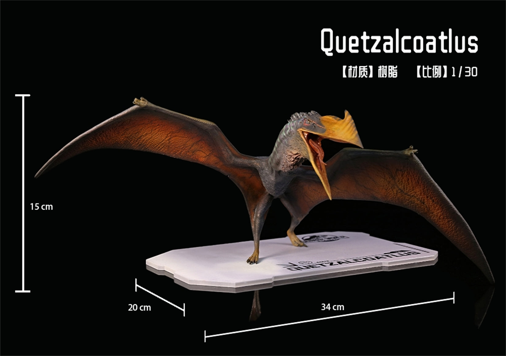 DINO DREAM 1:30 Scale Quetzalcoatlus Model