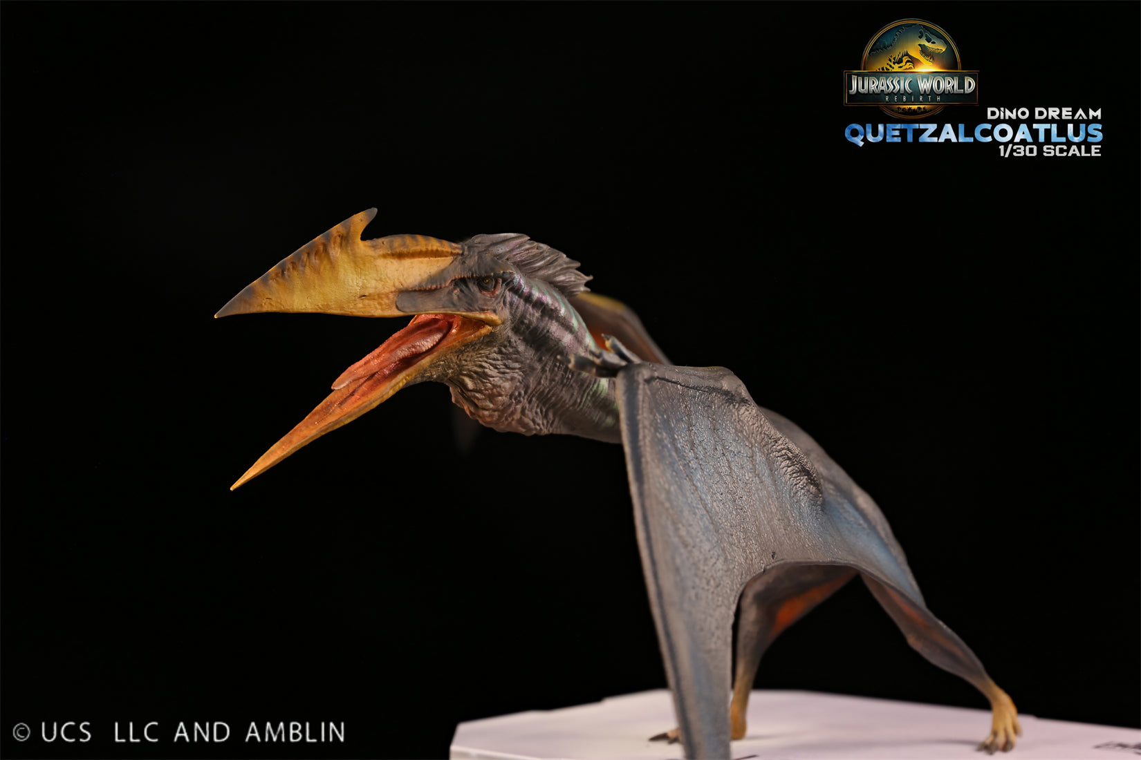DINO DREAM 1:30 Scale Quetzalcoatlus Model