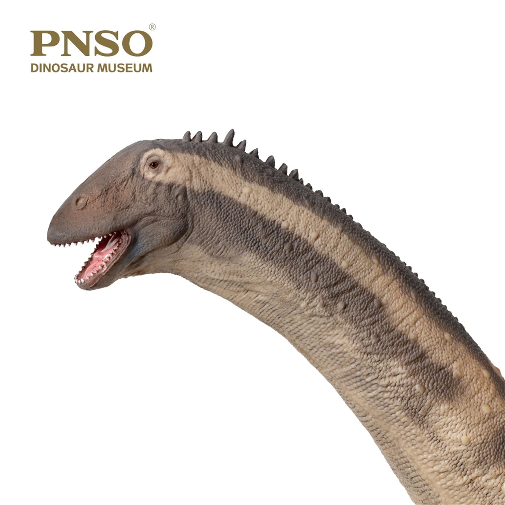 PNSO Hongkongsaurus Huigui 1:45 Scale Model