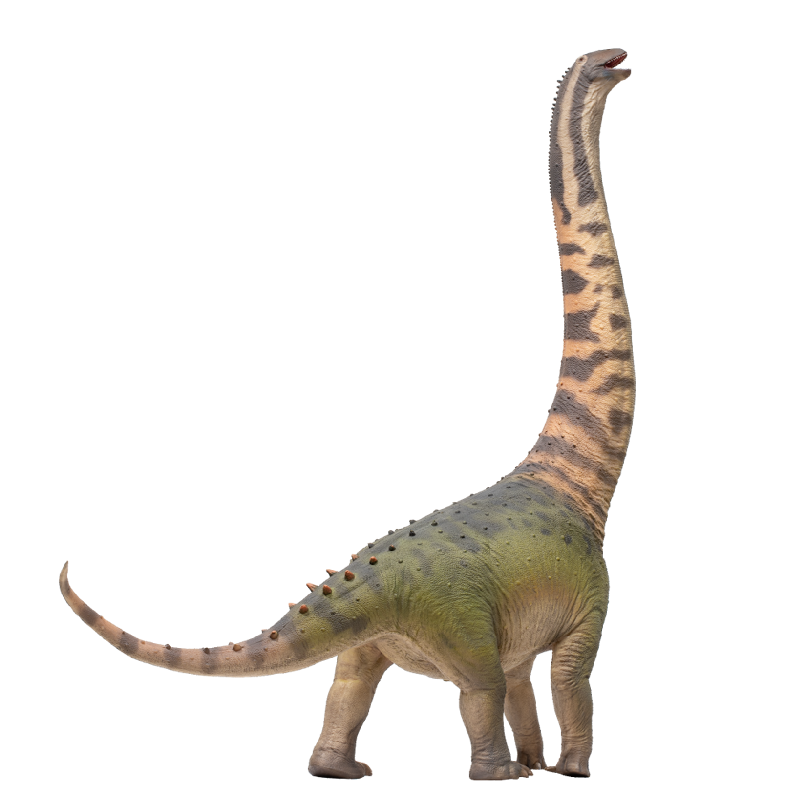 PNSO Hongkongsaurus Huigui 1:45 Scale Model