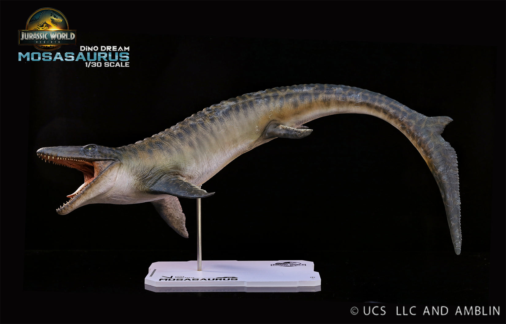 DINO DREAM 1:30 Scale Mosasaurus Model