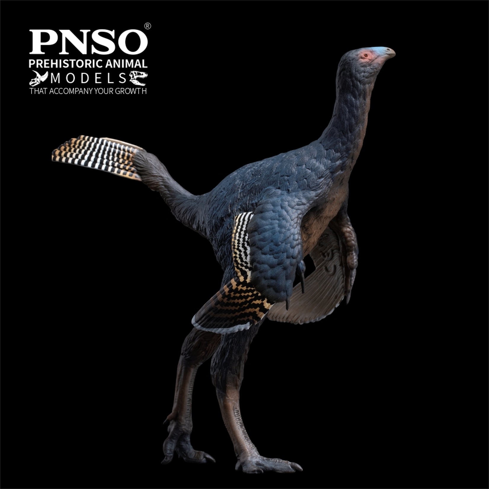 PNSO 93 Junlang Caudipteryx Model