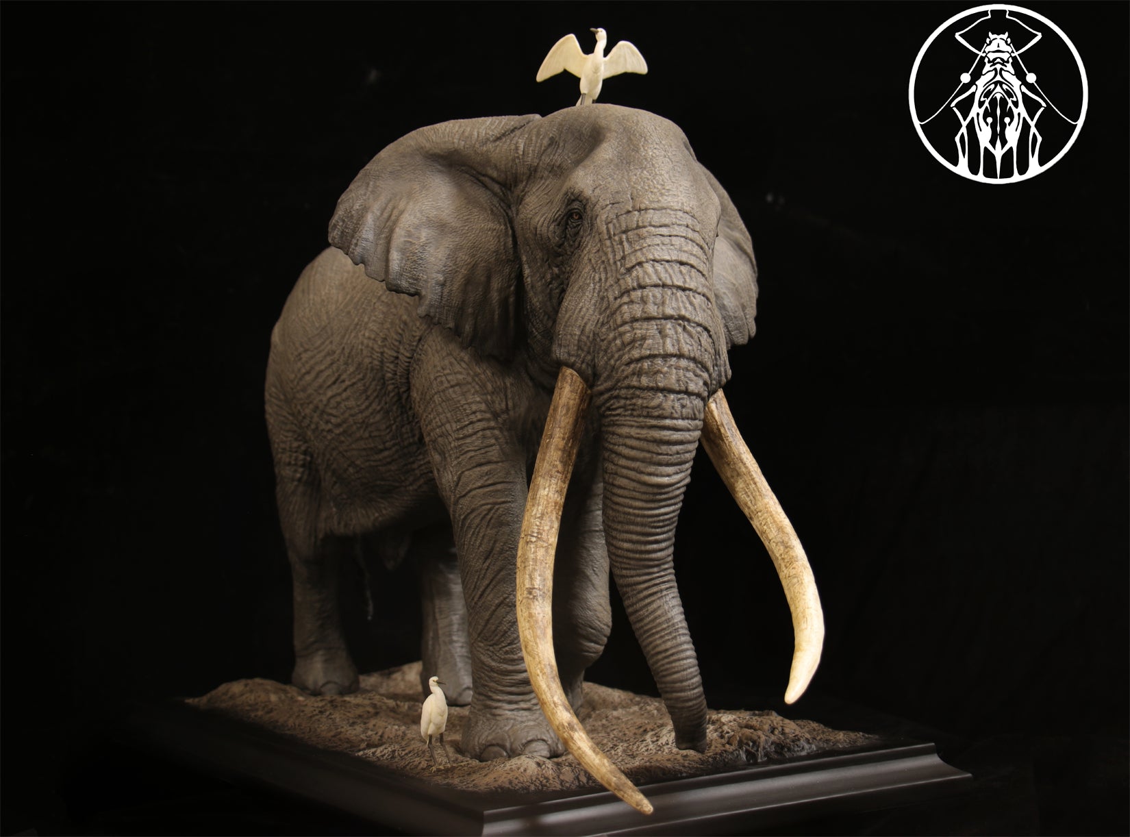 APHID STUDIO African Elephant Tim Model