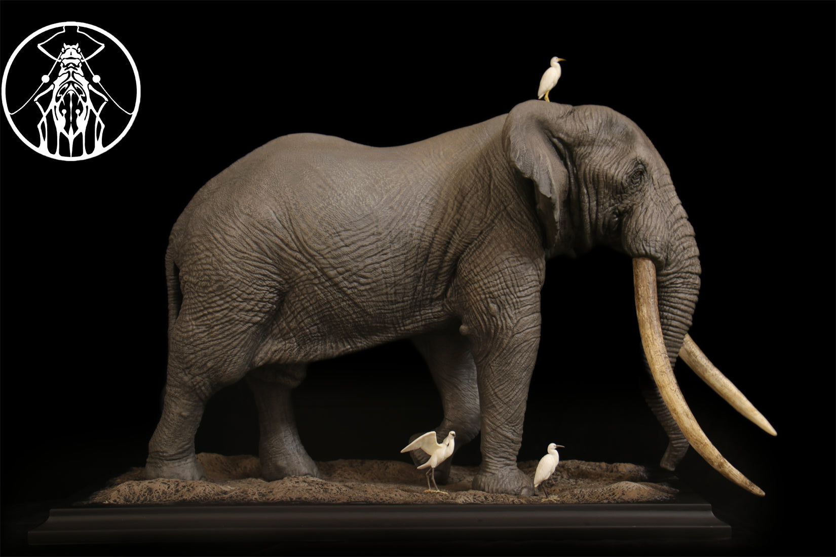 APHID STUDIO African Elephant Tim Model