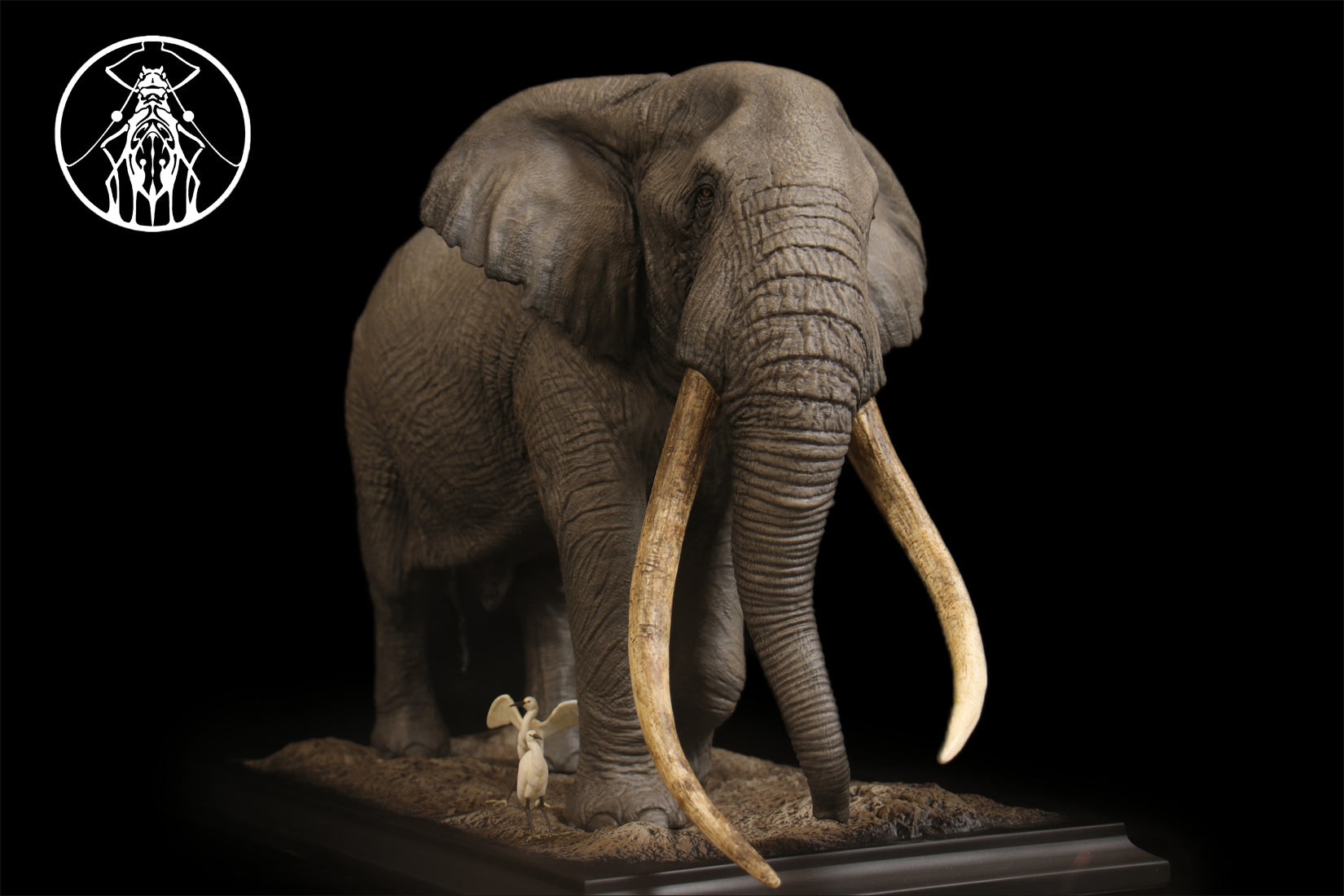 APHID STUDIO African Elephant Tim Model