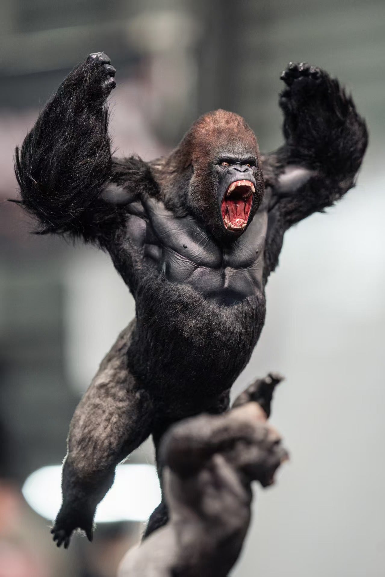 APHID STUDIO Western lowland gorilla Model