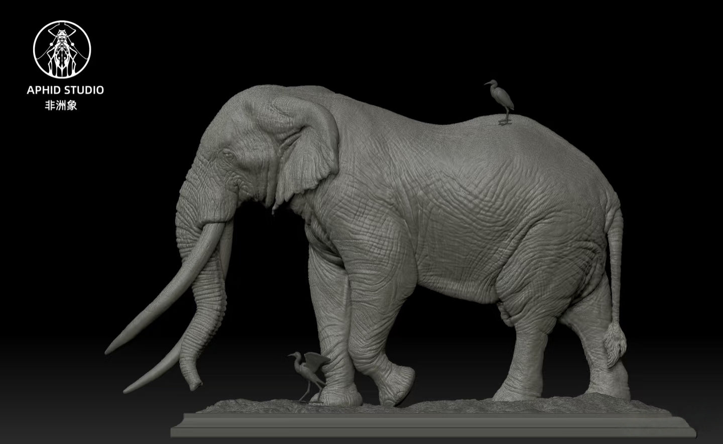 APHID STUDIO African Elephant Tim Model