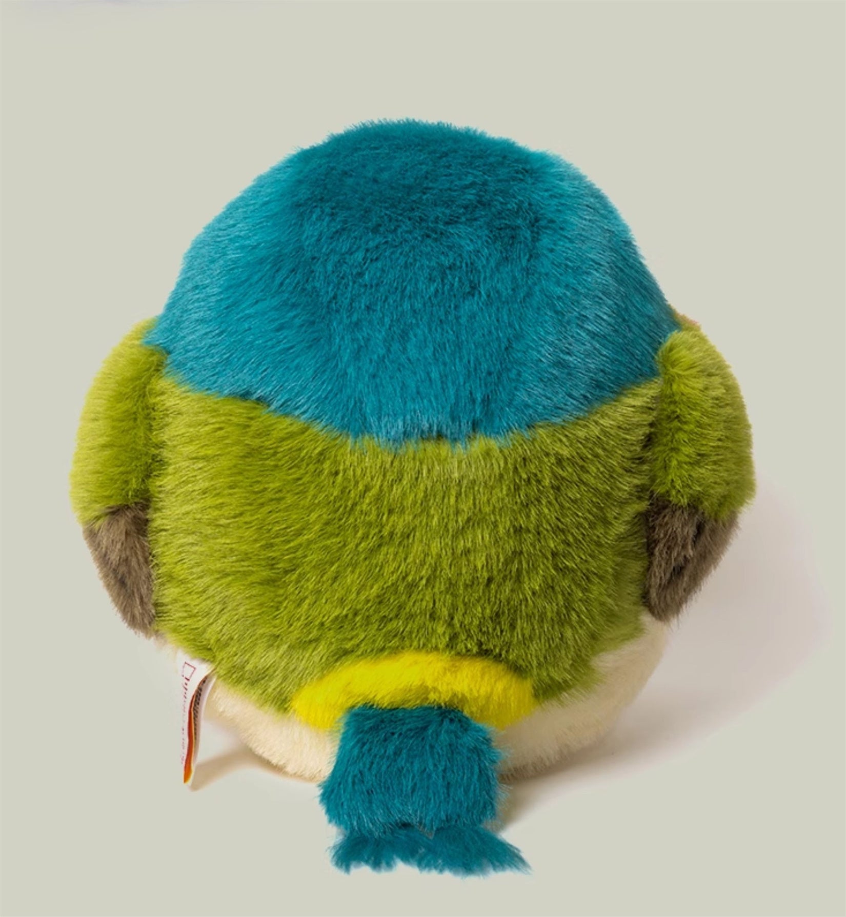 Fork-Tailed Sunbird Model