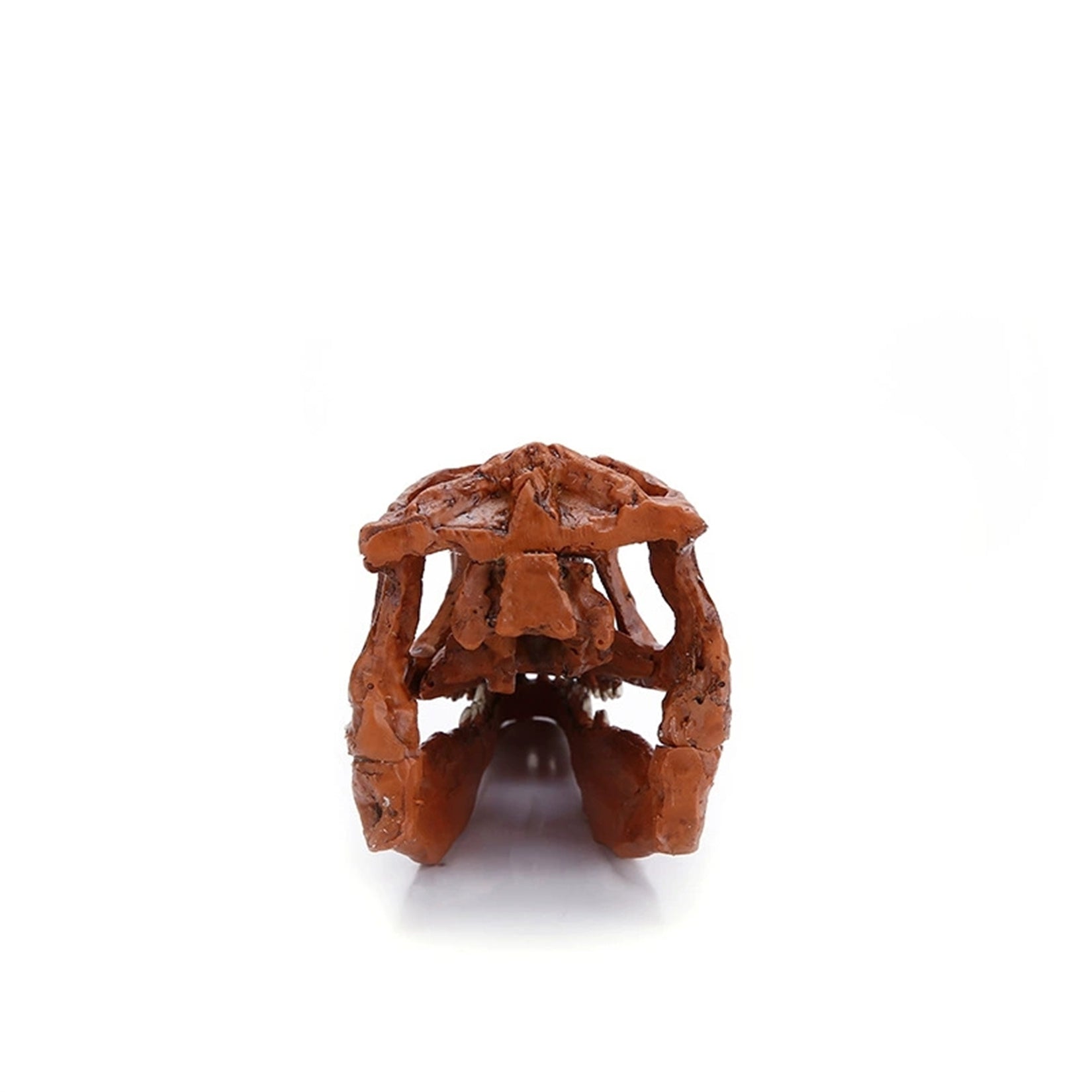 Schildkröten-Serie Tiermodell