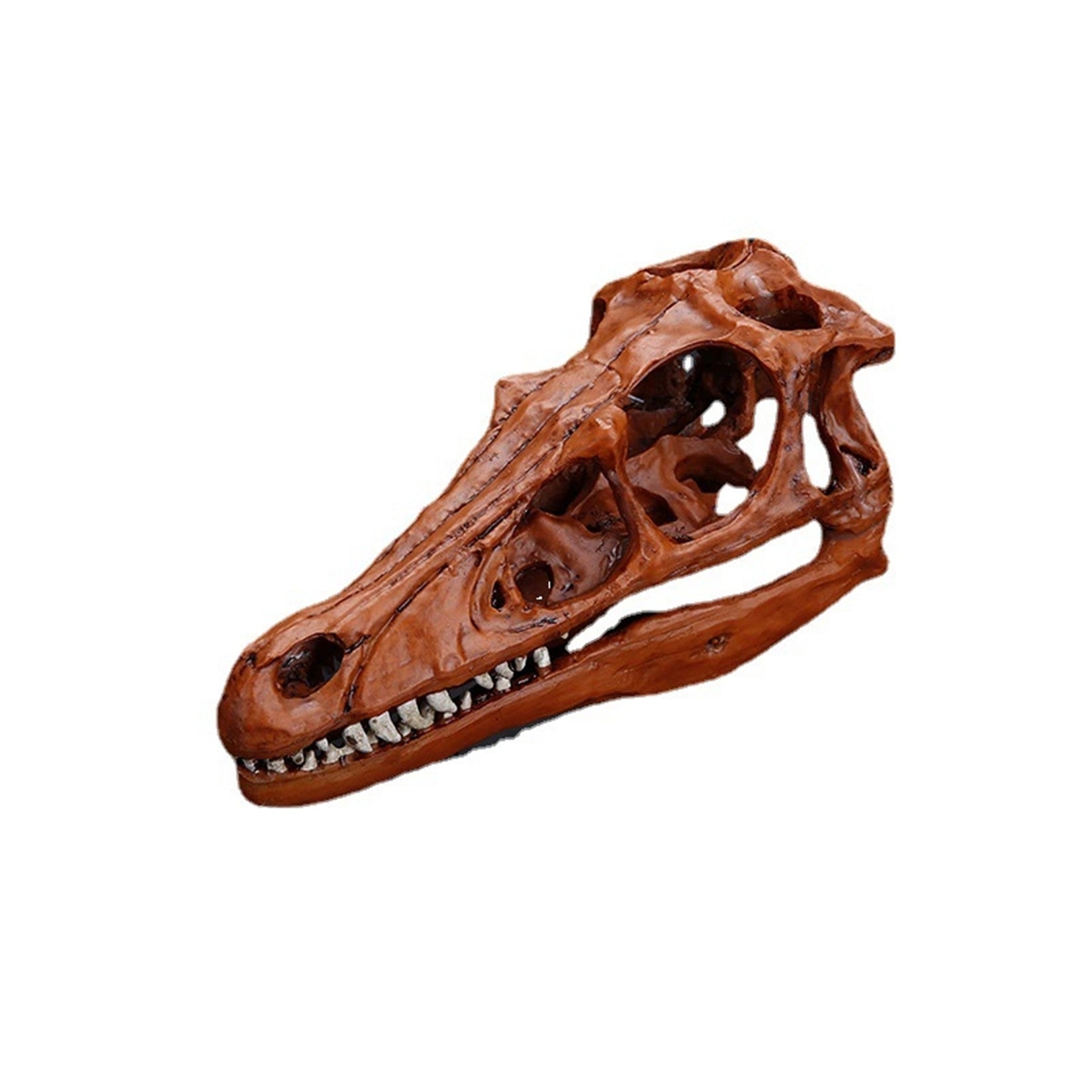 Schildkröten-Serie Tiermodell