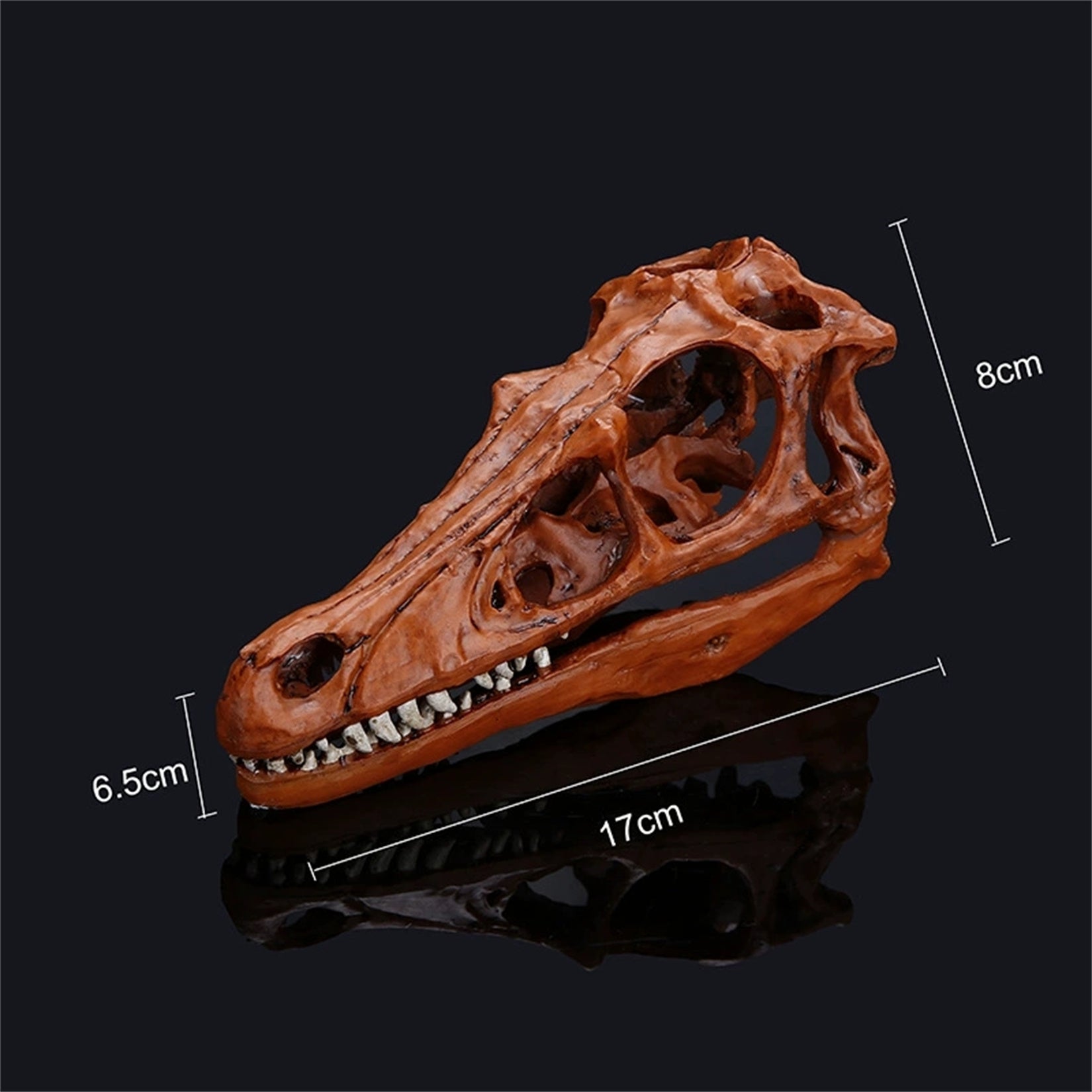 Schildkröten-Serie Tiermodell