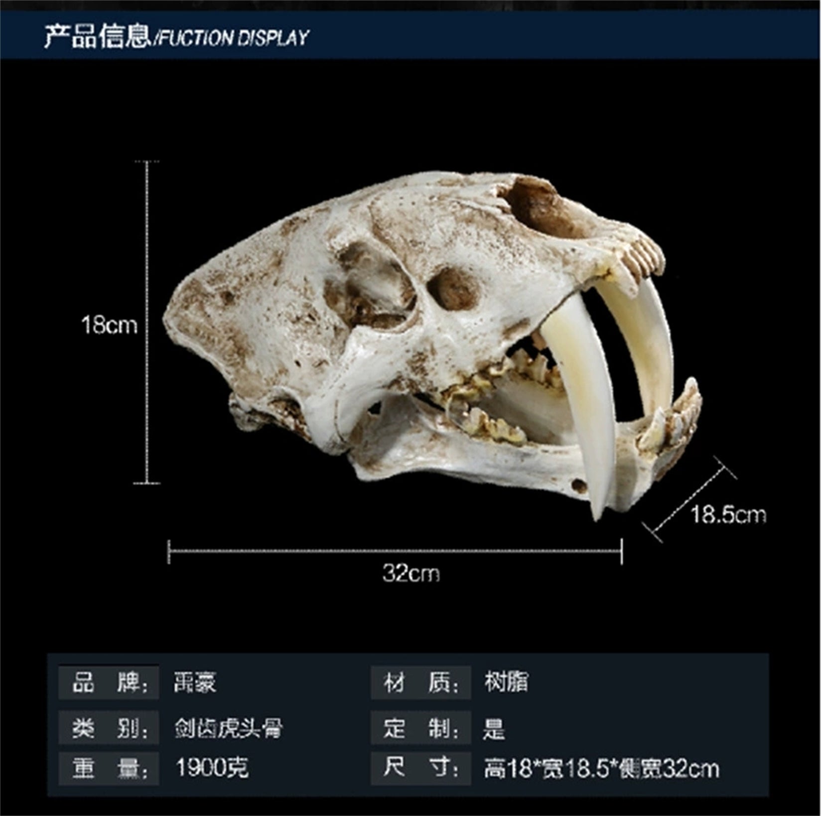 Schildkröten-Serie Tiermodell