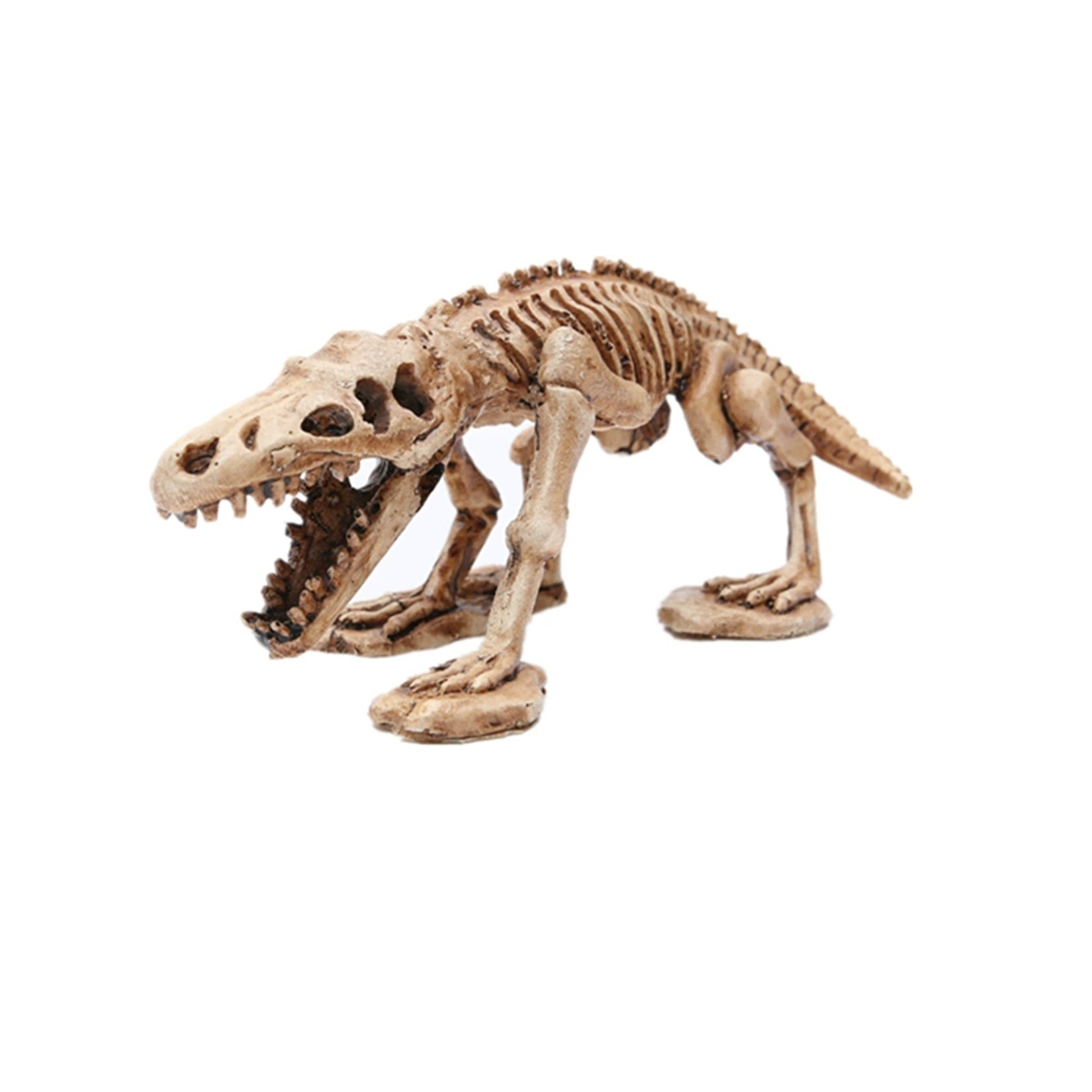 Schildkröten-Serie Tiermodell