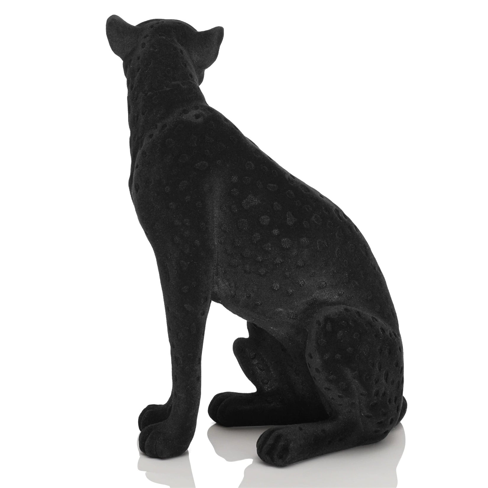 Schildkröten-Serie Tiermodell