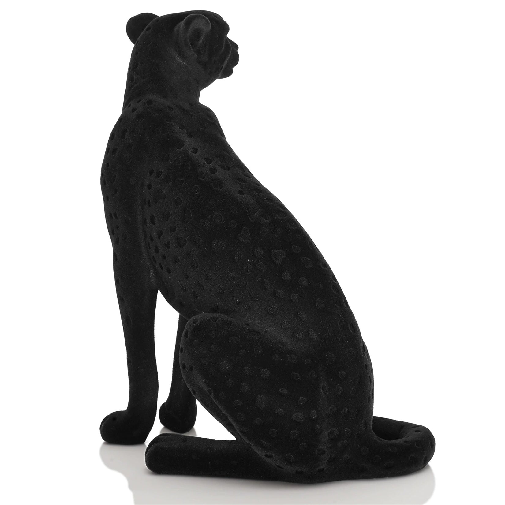 Schildkröten-Serie Tiermodell