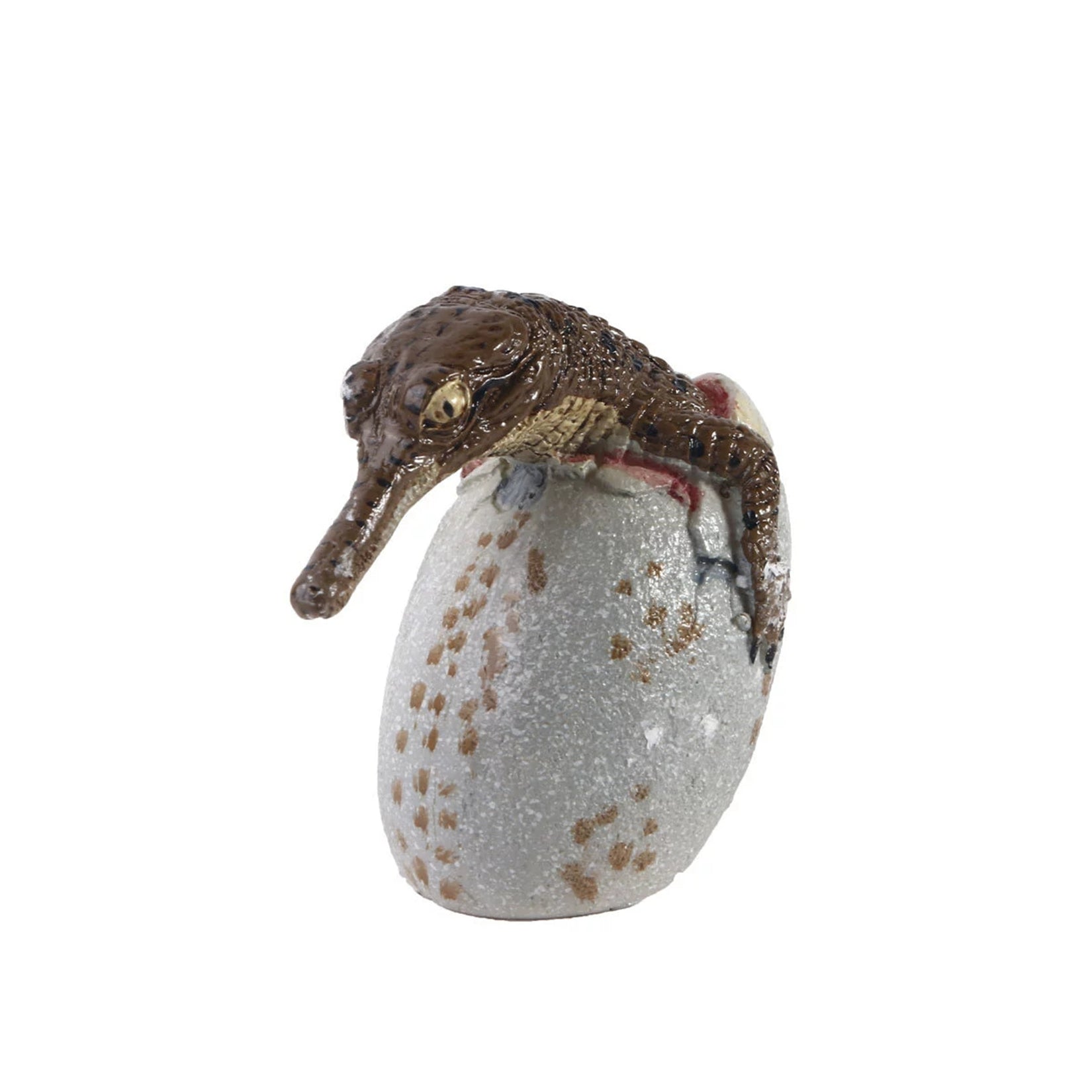 Schildkröten-Serie Tiermodell