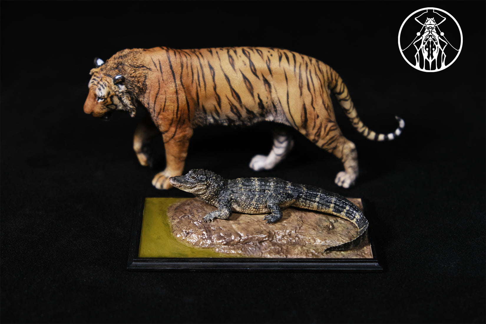 APHID STUDIO Chinese alligator sinensis Model