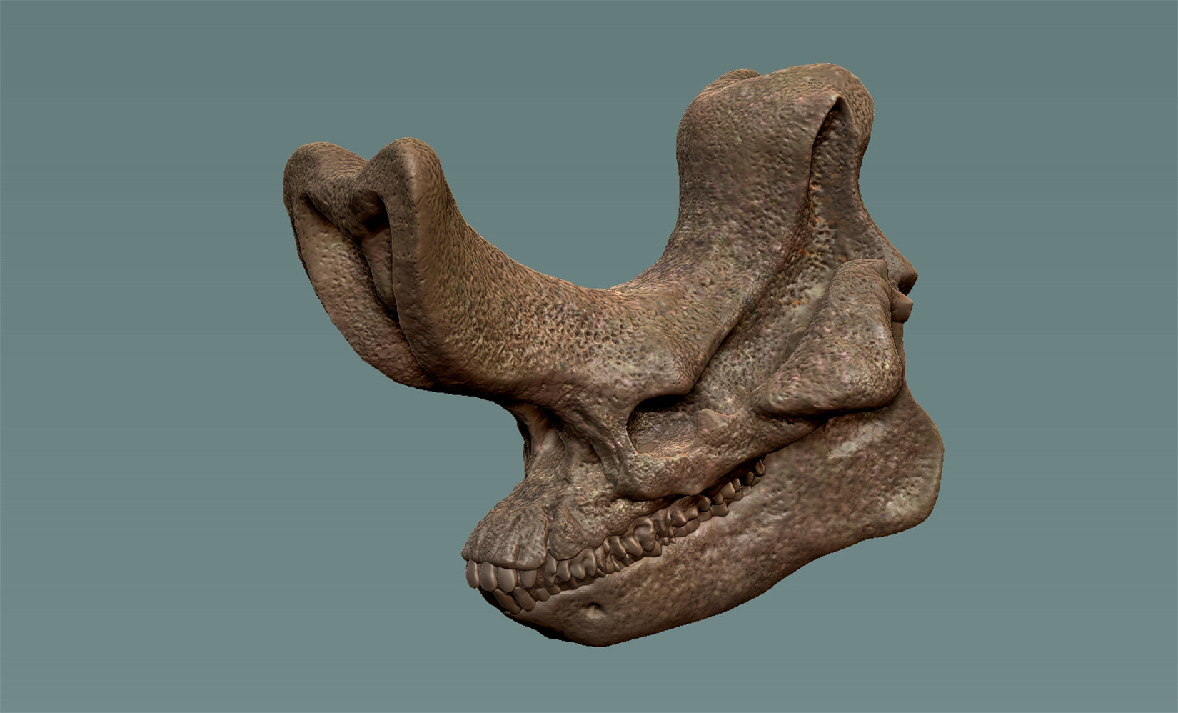 PASSION CHARGER Embolotherium Model