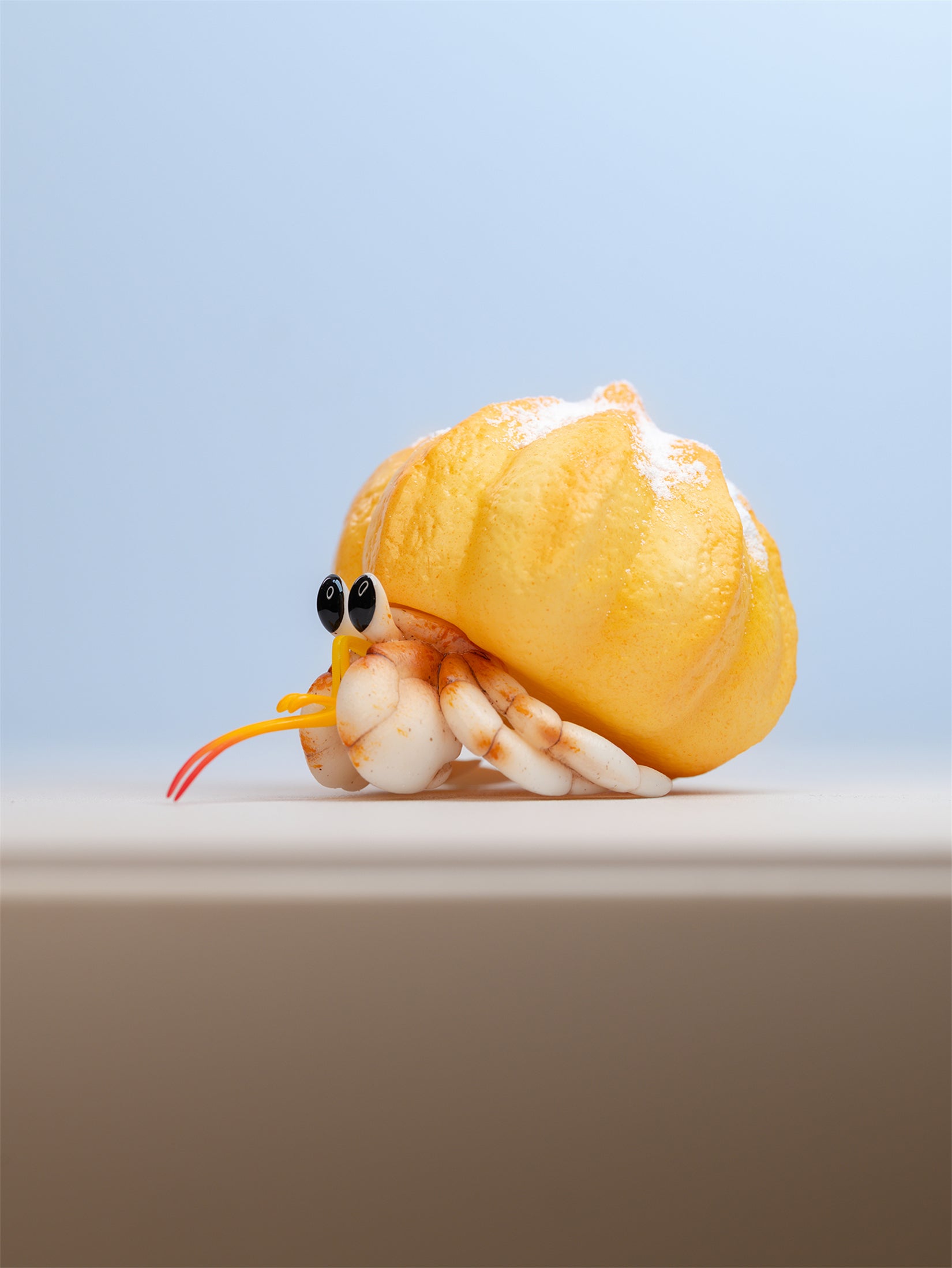Hermit Crabs Model Paguroidea Figure