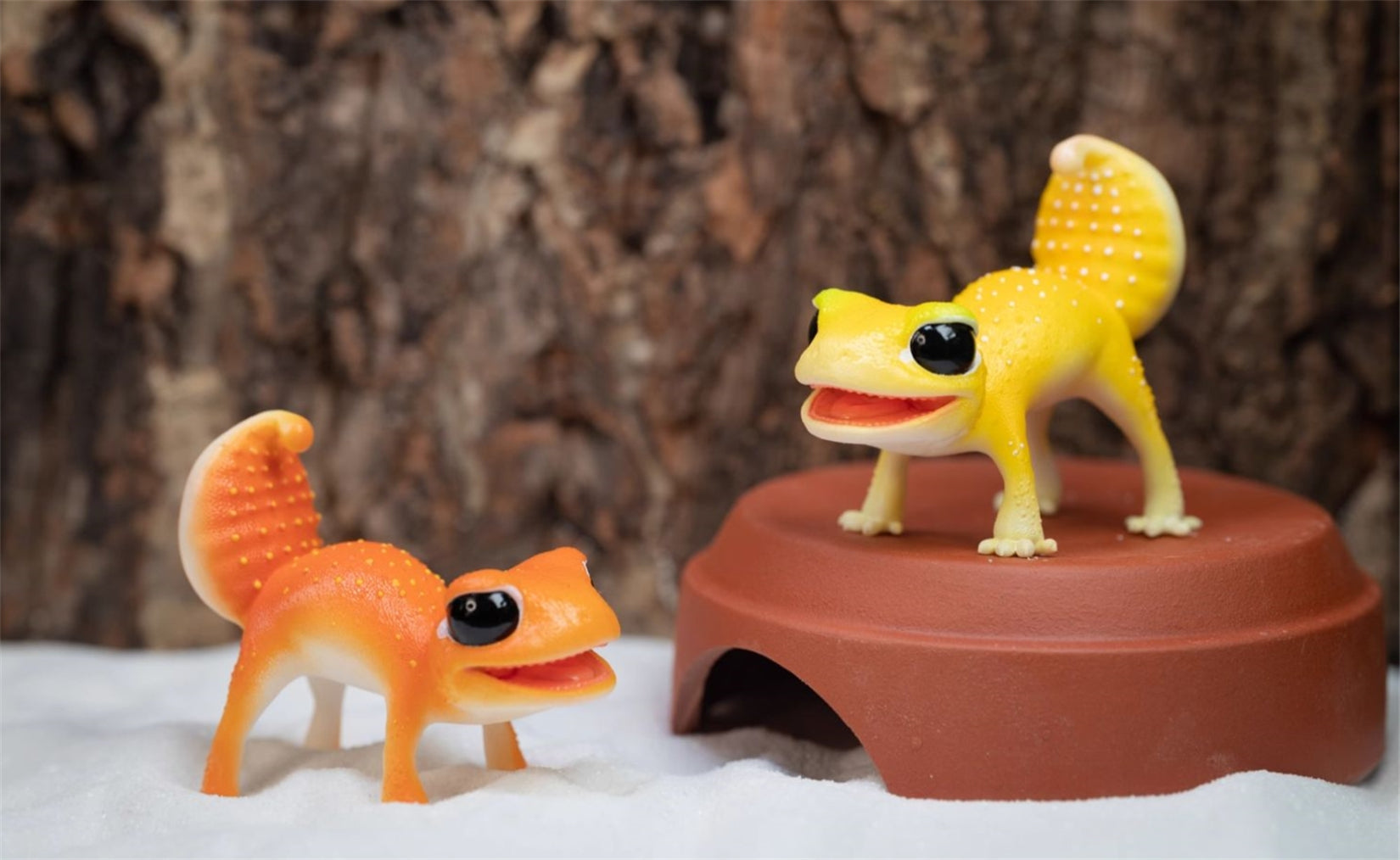 Nephrurus Levis Model Limited Edition