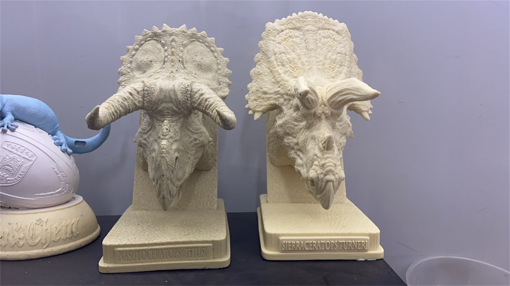 PASSION CHARGER 1/10 Ceratopsier-Kopfskulptur-Serie GK Modell