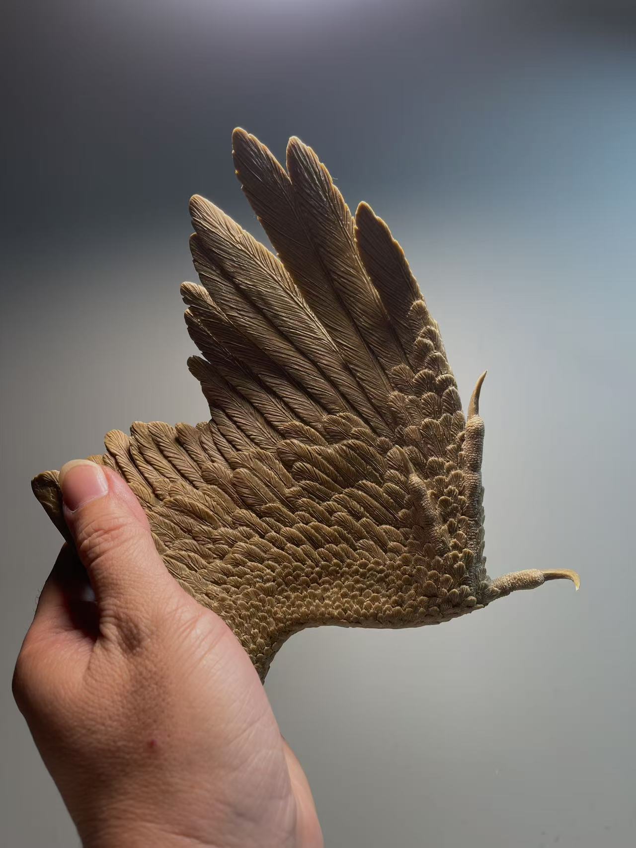 Sensen 1:1 Scale Archaeopteryx lithographica Model