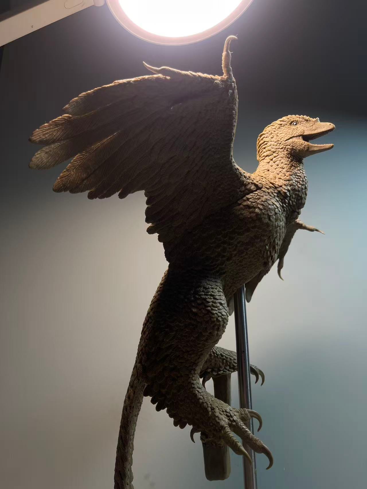 Sensen 1:1 Scale Archaeopteryx lithographica Model