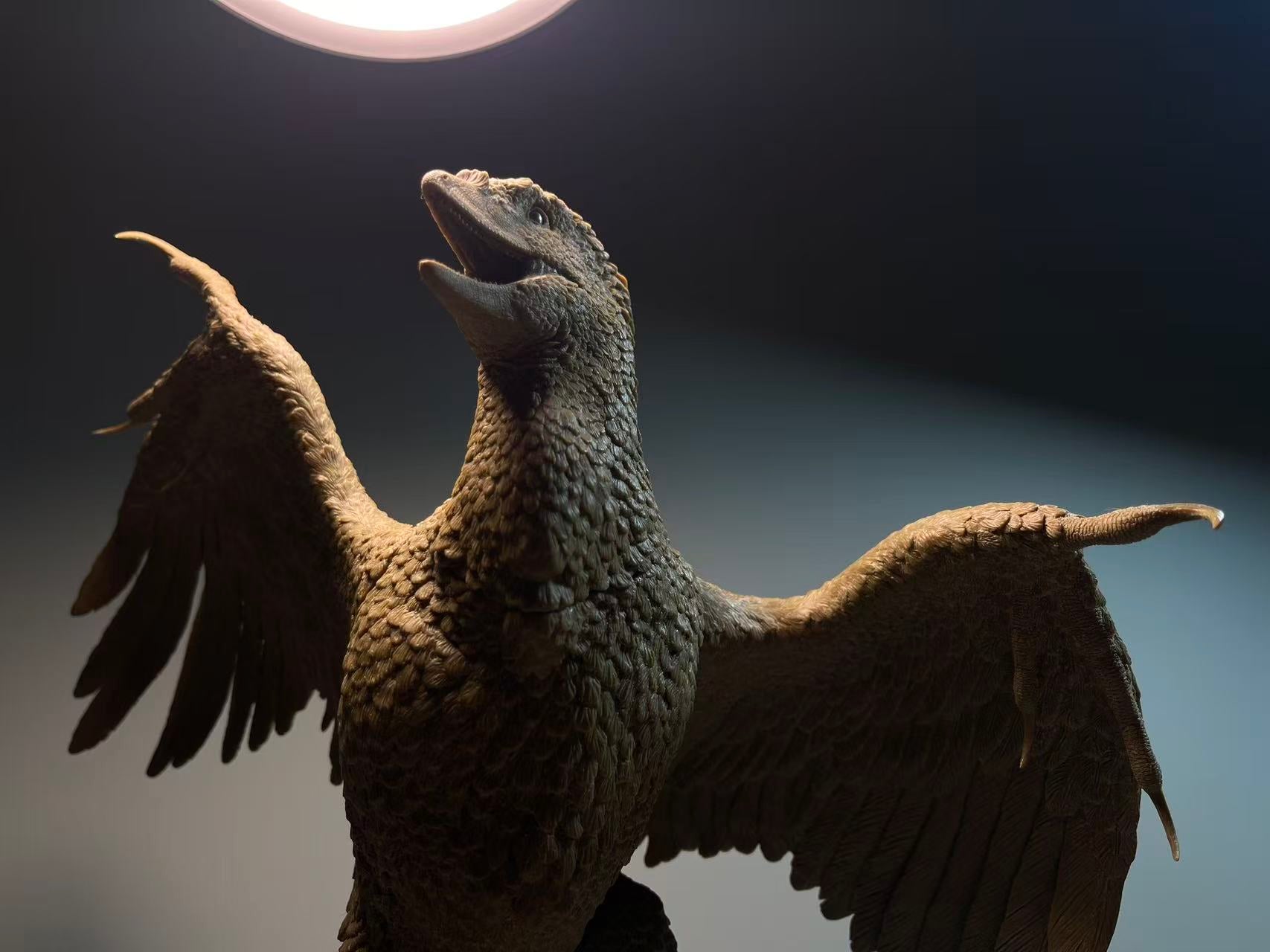 Sensen 1:1 Scale Archaeopteryx lithographica Model