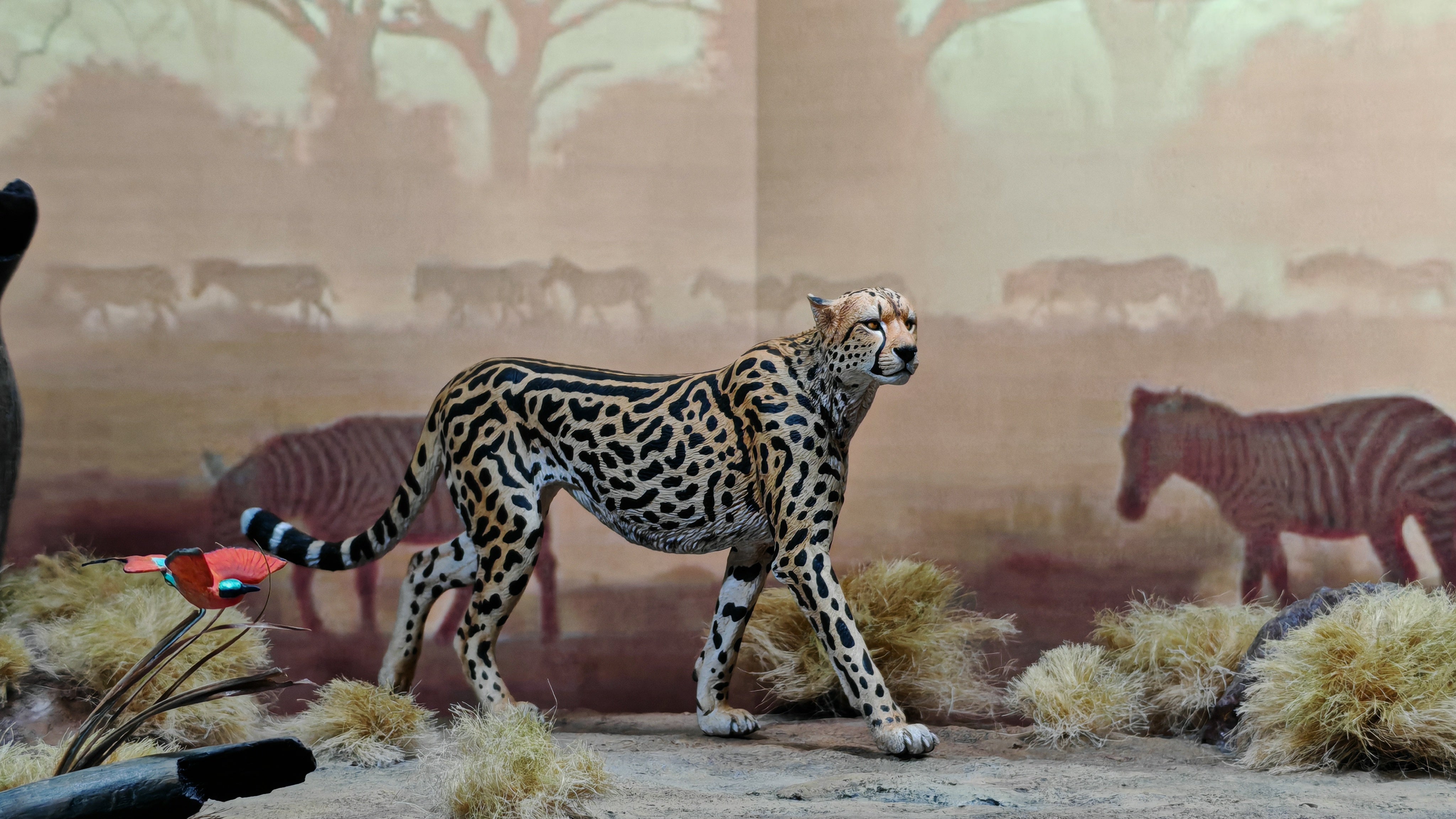 GuoXiong Studio Bushmen Cheetah Scene Model
