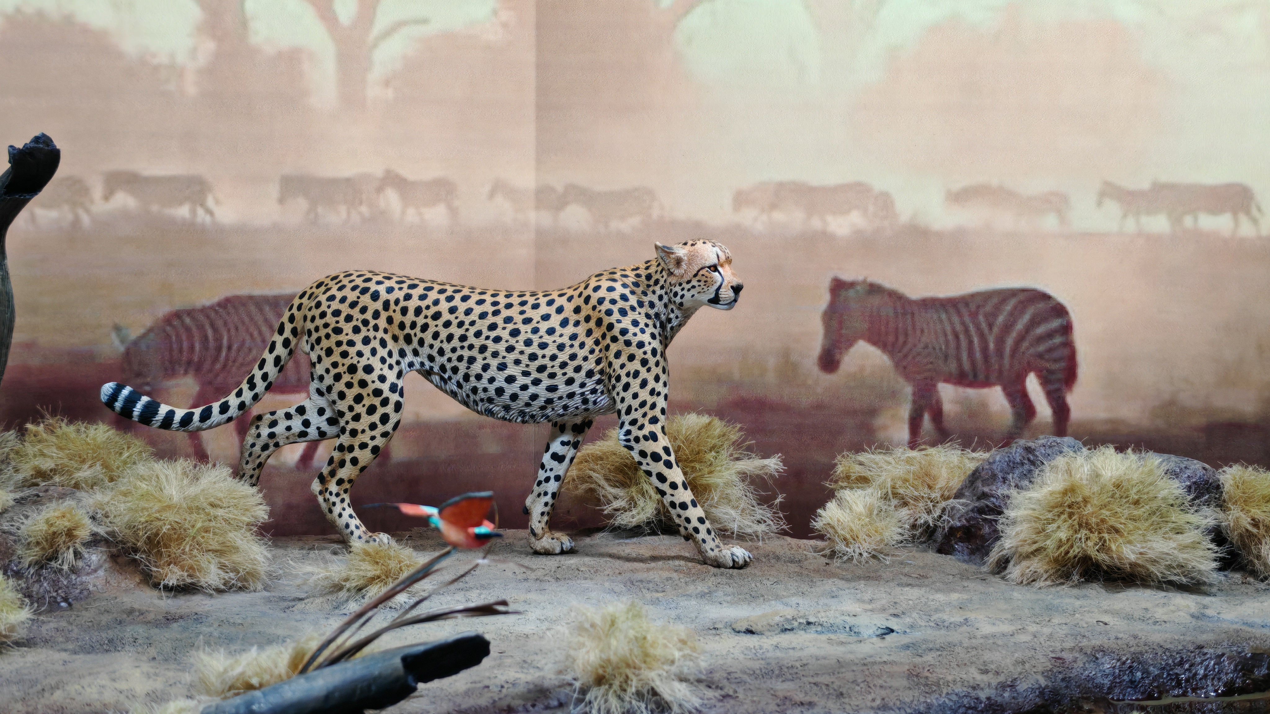 GuoXiong Studio Bushmen Cheetah Scene Model