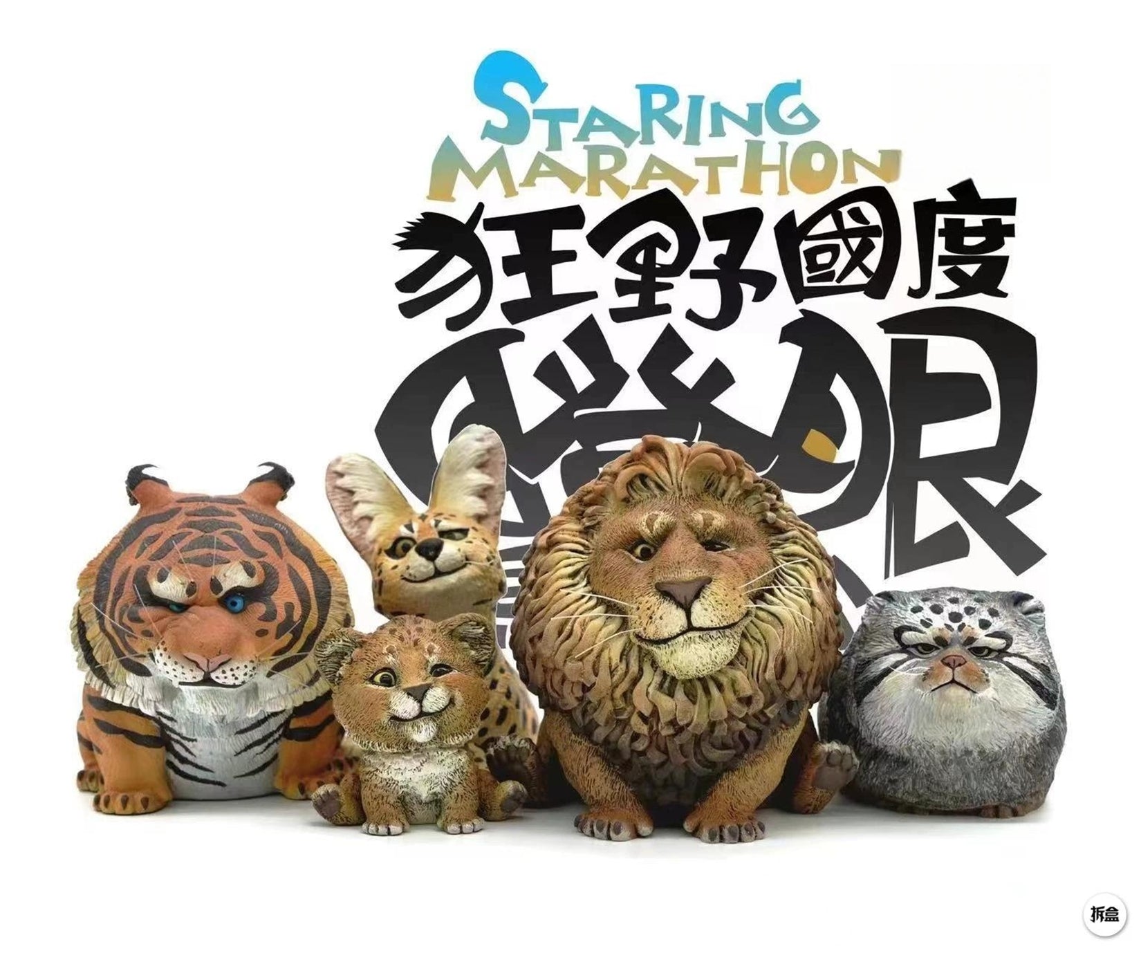 Lion Qiqi and Charlie Animal Model