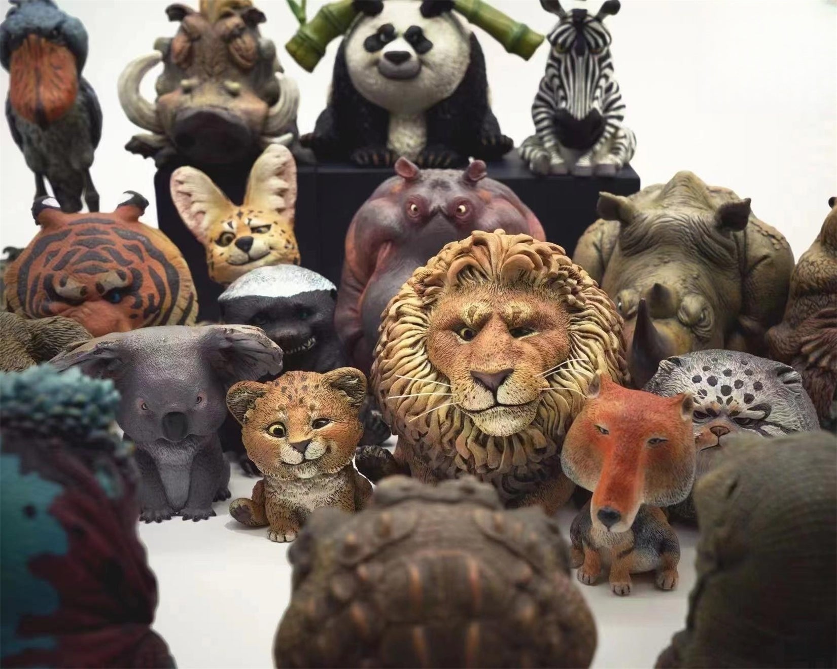 Lion Qiqi and Charlie Animal Model