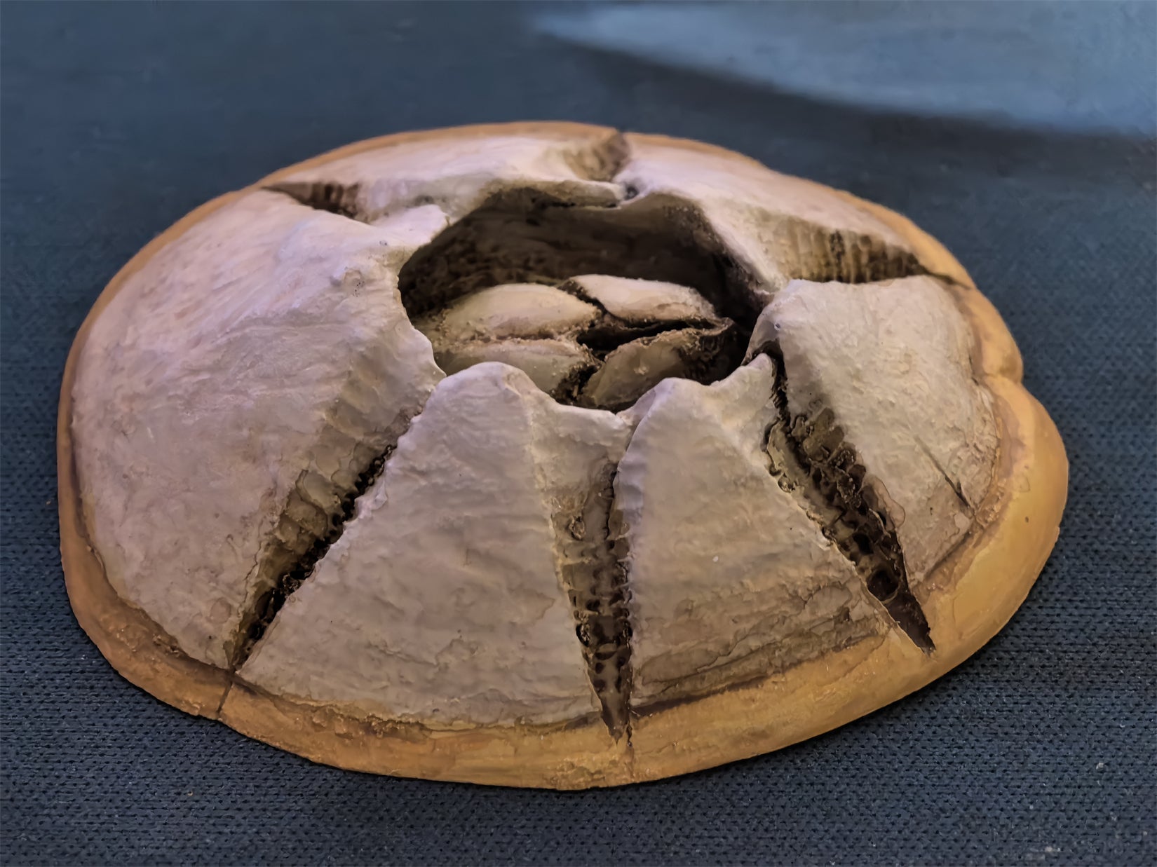 Cerastes Cornutus Schlangenmodell