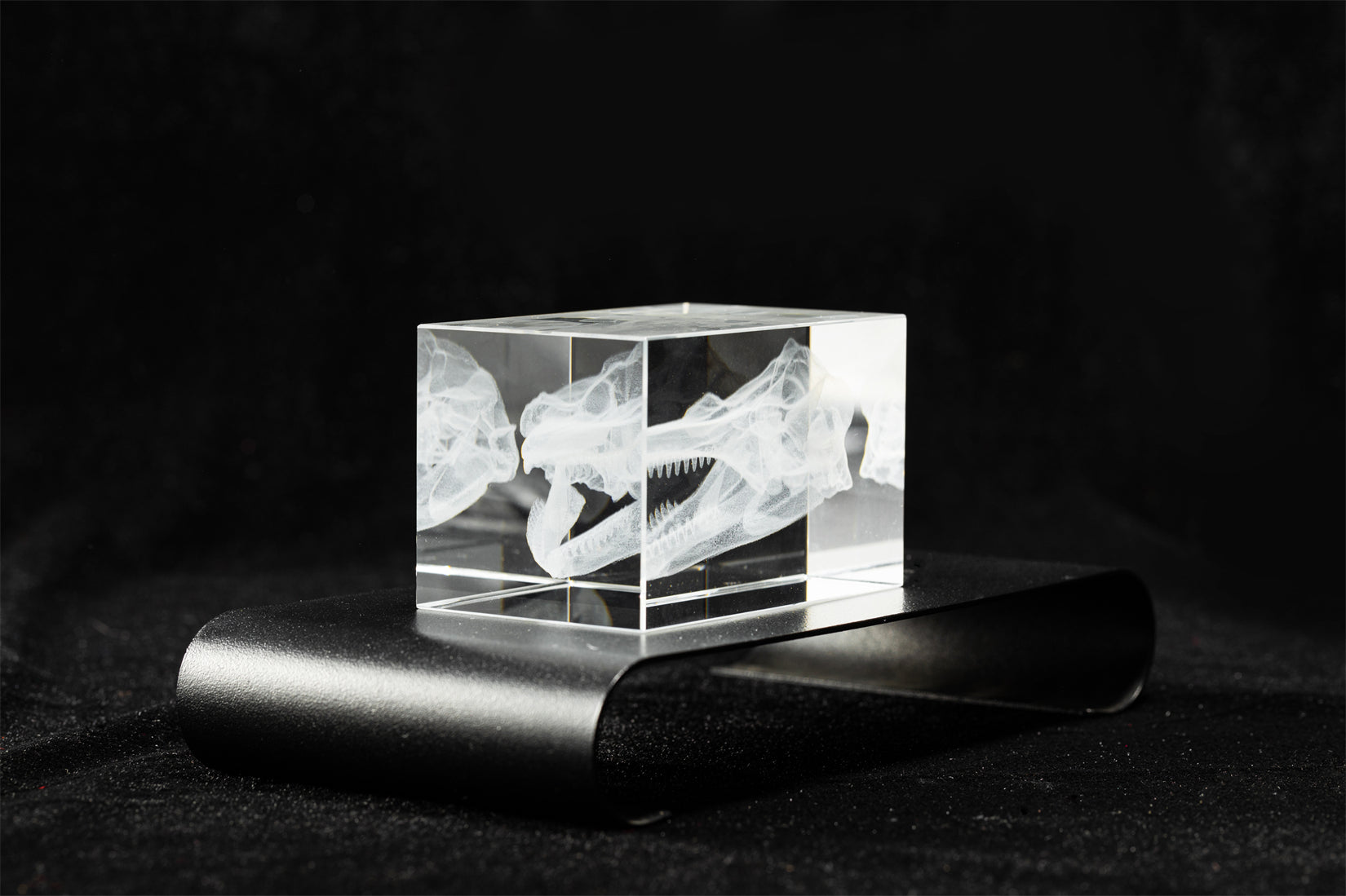 Cerastes Cornutus Schlangenmodell