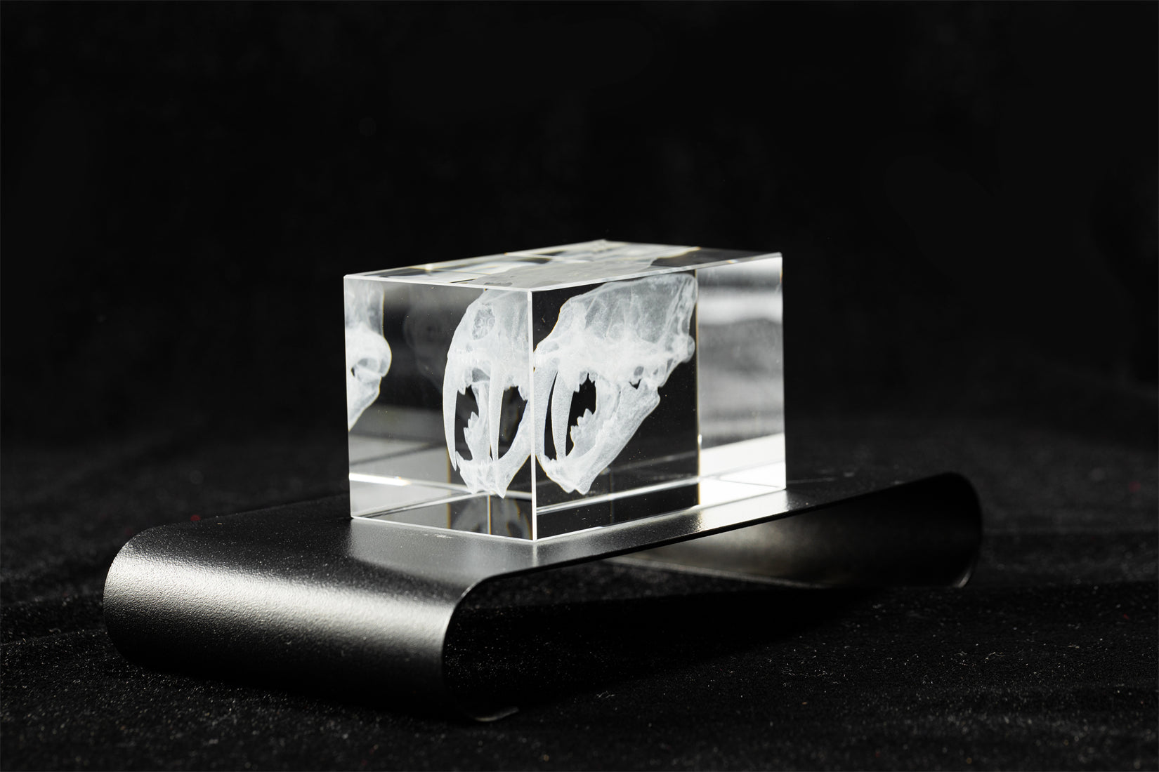 Smilodon Crystal Statue