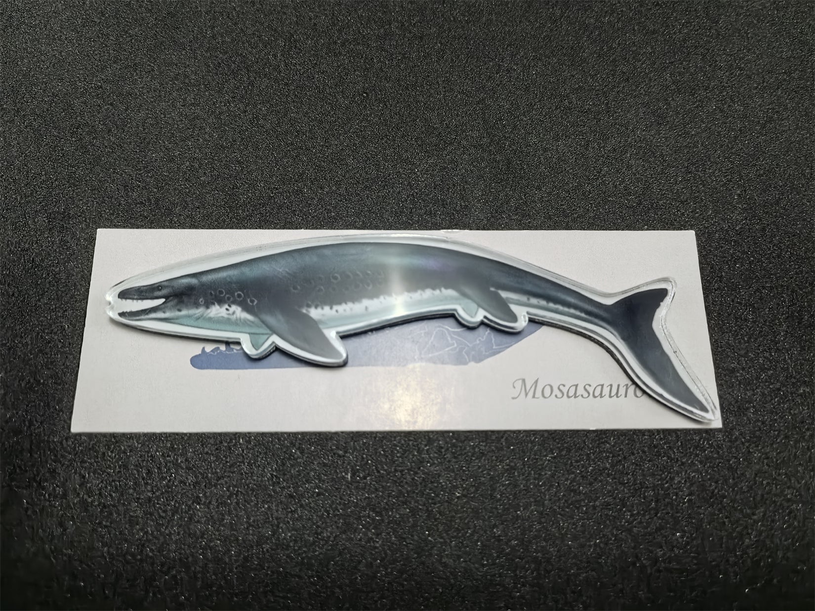 Cerastes Cornutus Schlangenmodell