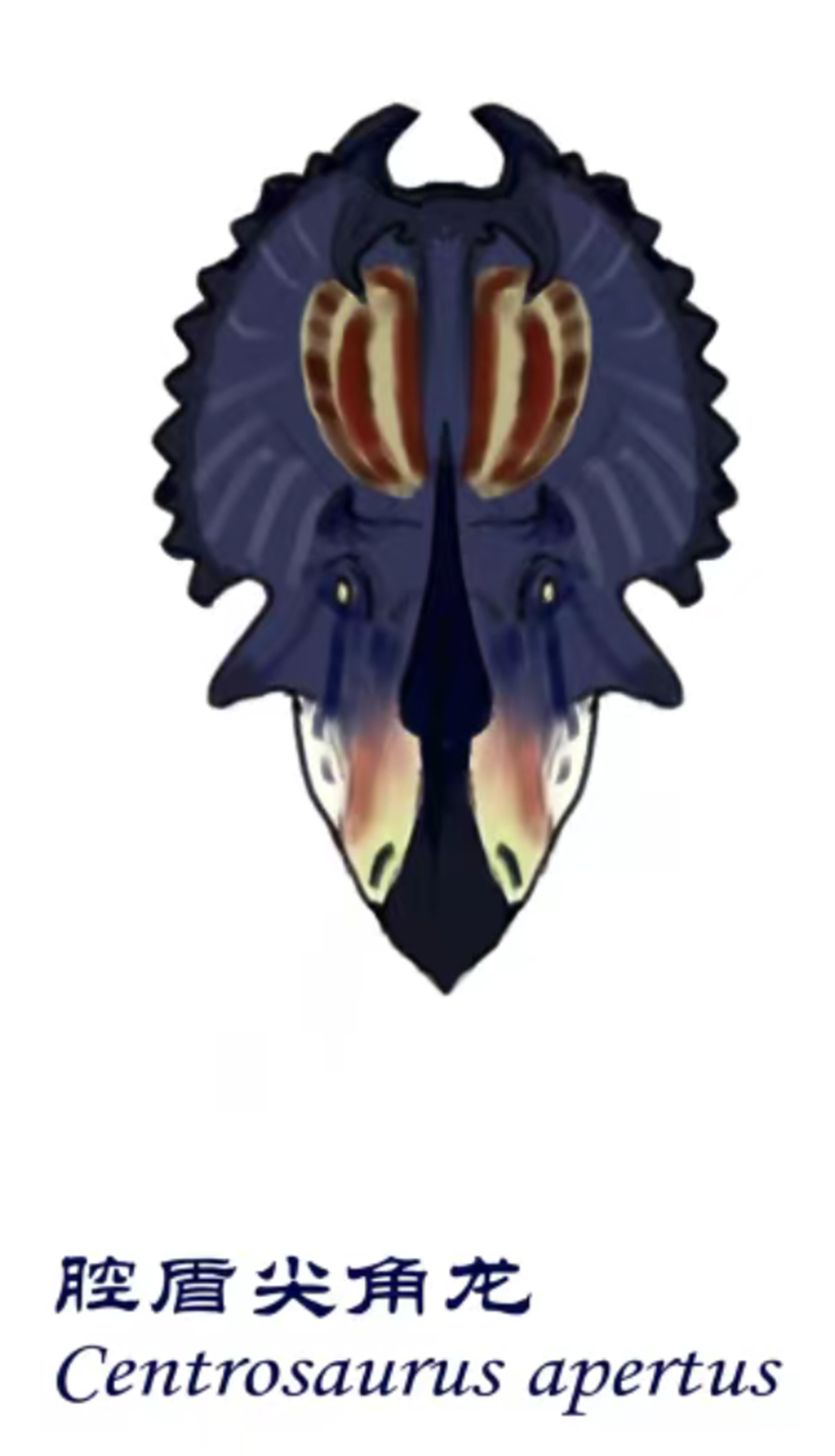 Cerastes Cornutus Schlangenmodell