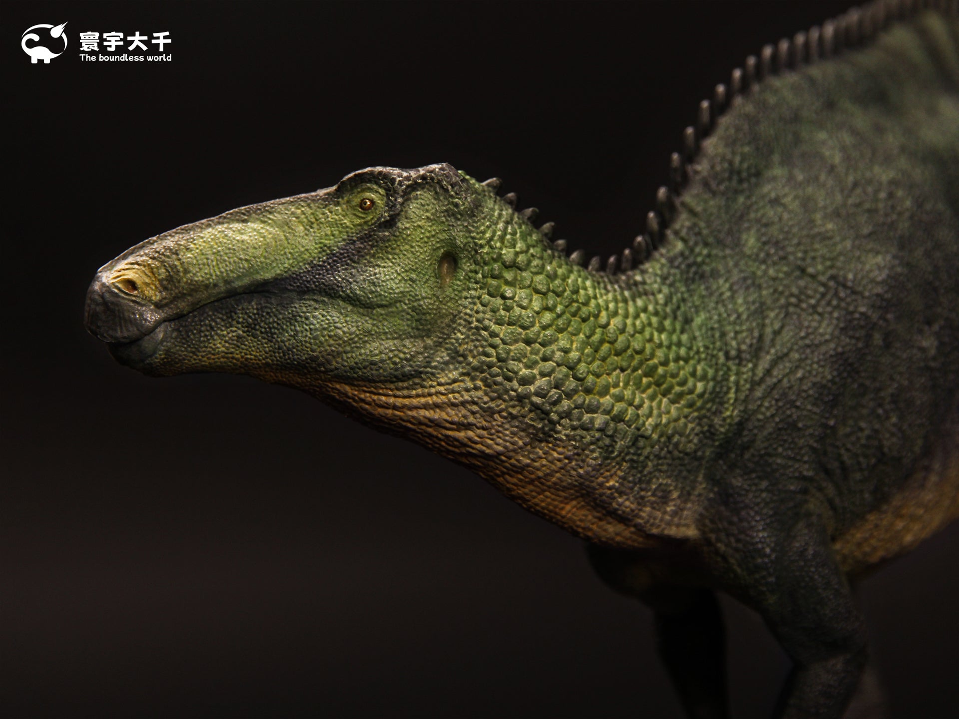 The Boundless World 1:35 Scale Shantungosaurus Figure