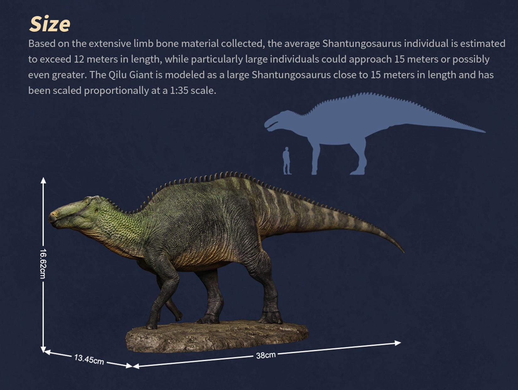 The Boundless World 1:35 Scale Shantungosaurus Figure