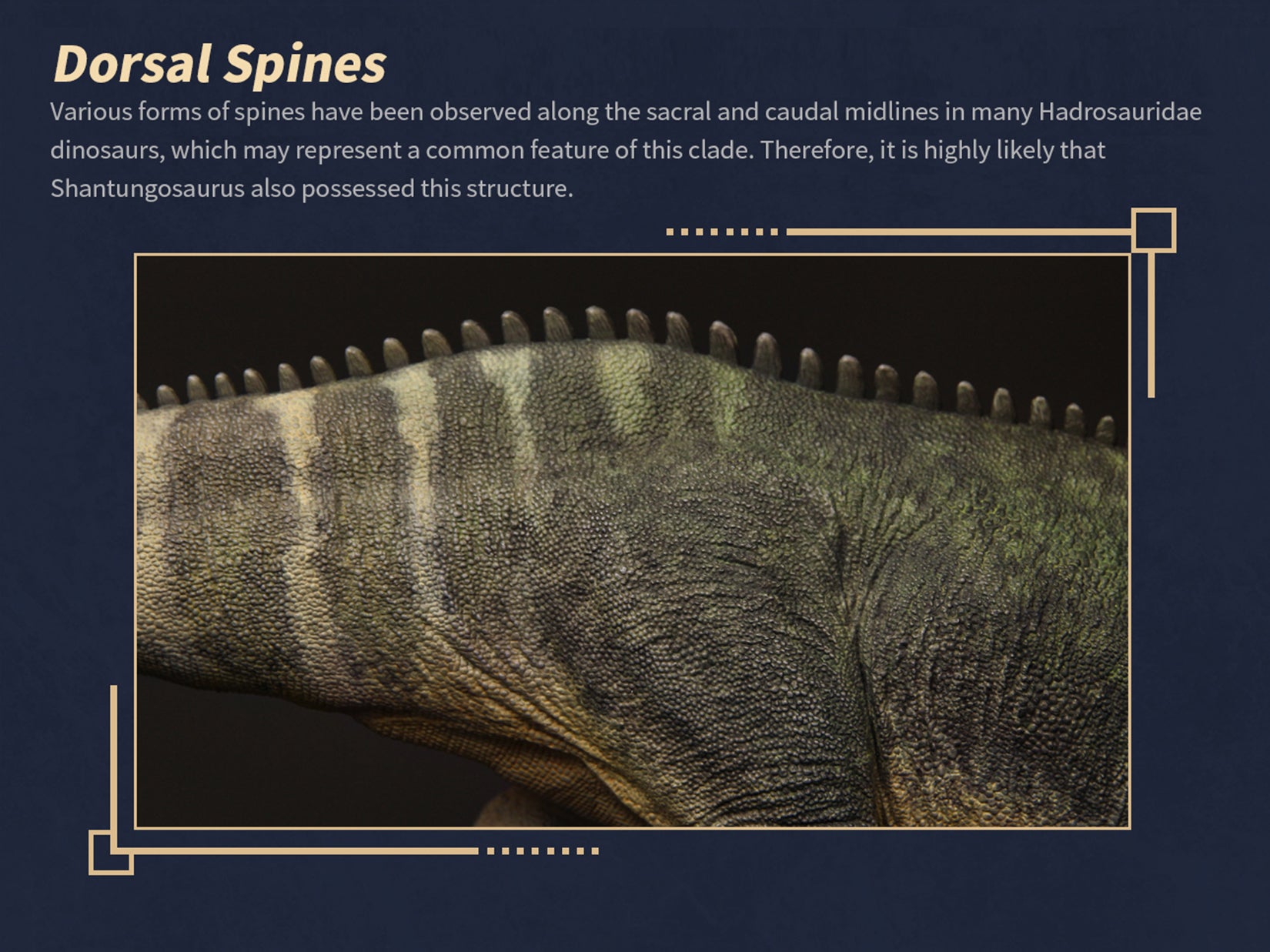 The Boundless World 1:35 Scale Shantungosaurus Figure