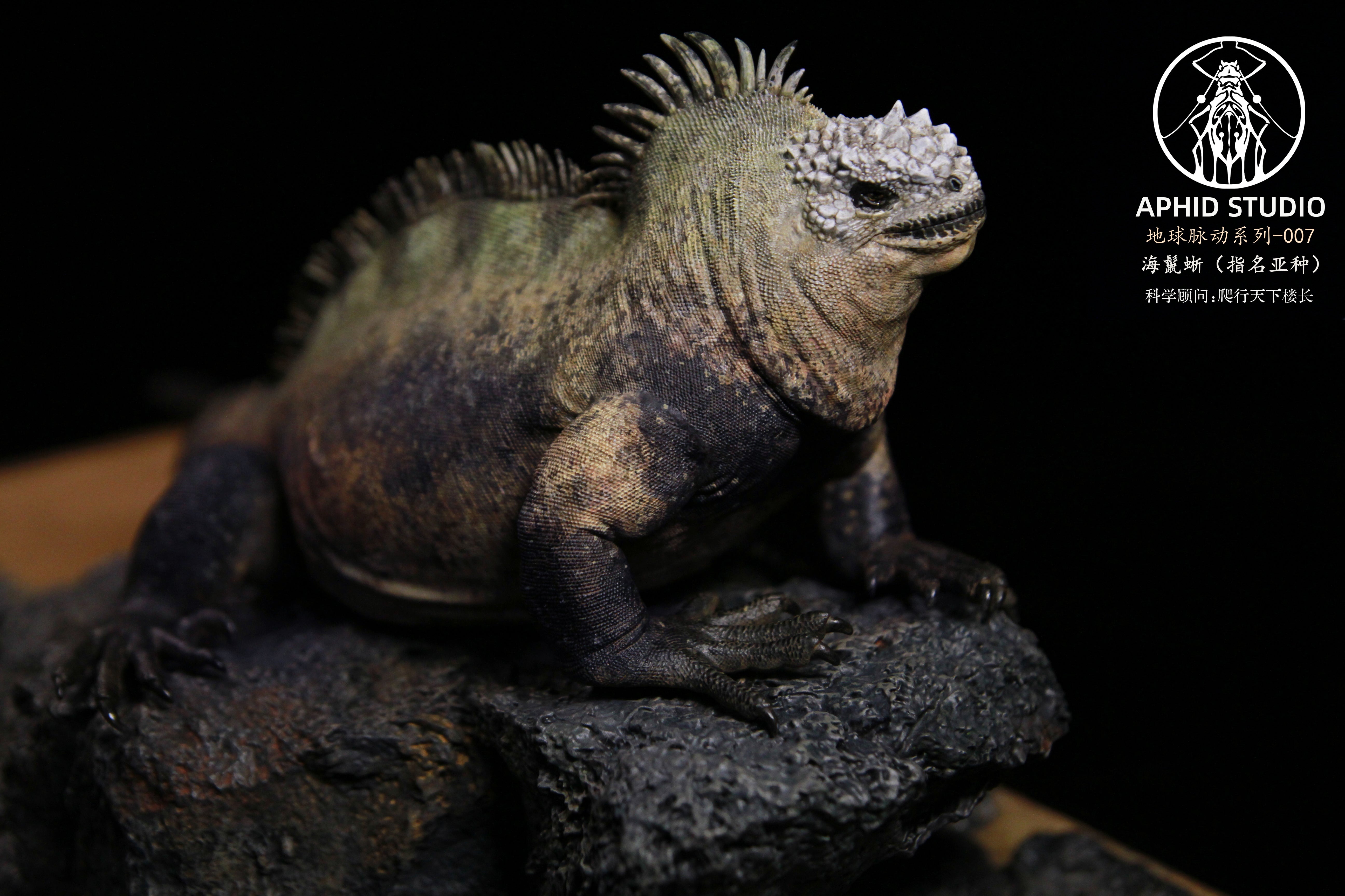 Modèle d'iguane marin d'APHID STUDIO