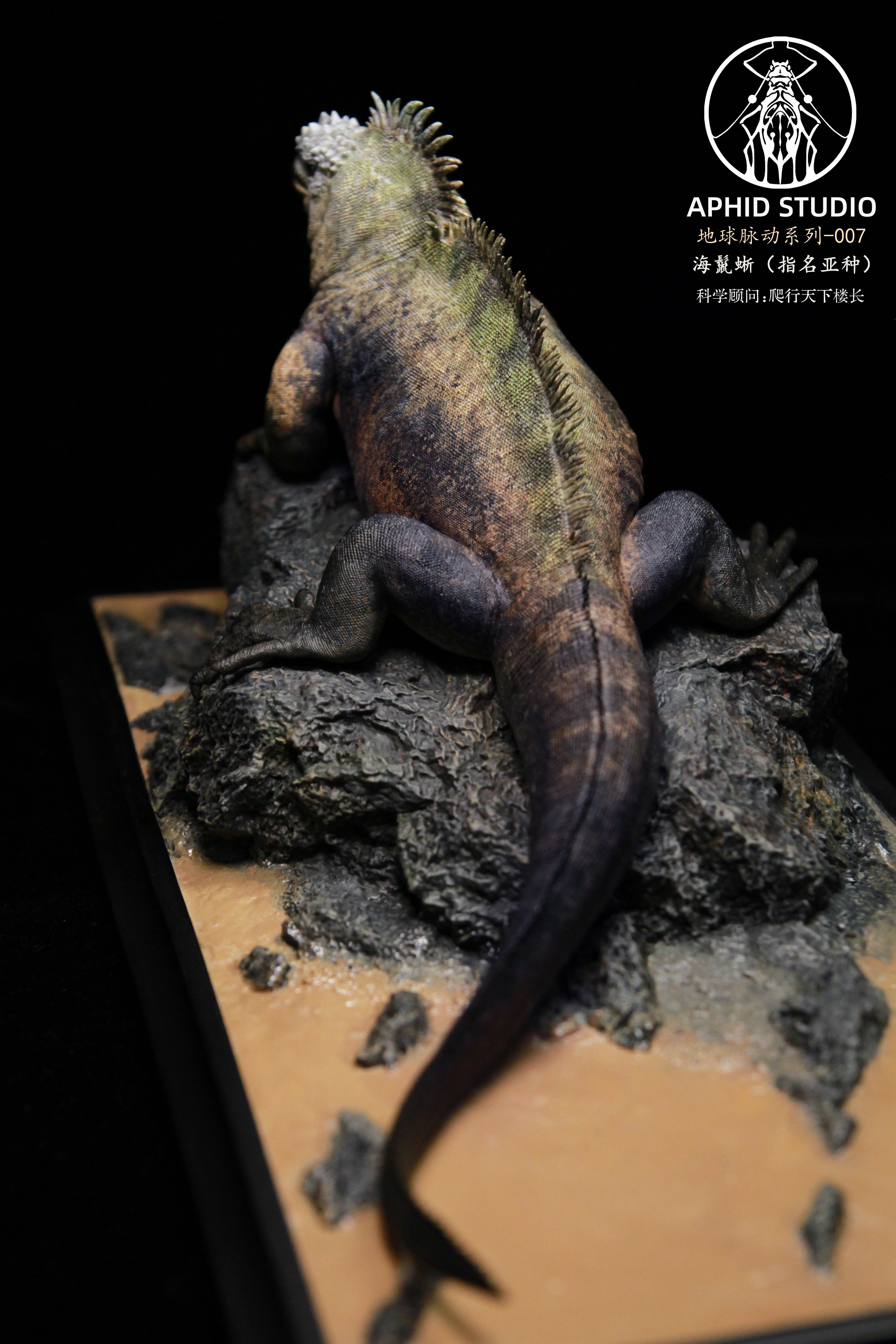Modèle d'iguane marin d'APHID STUDIO