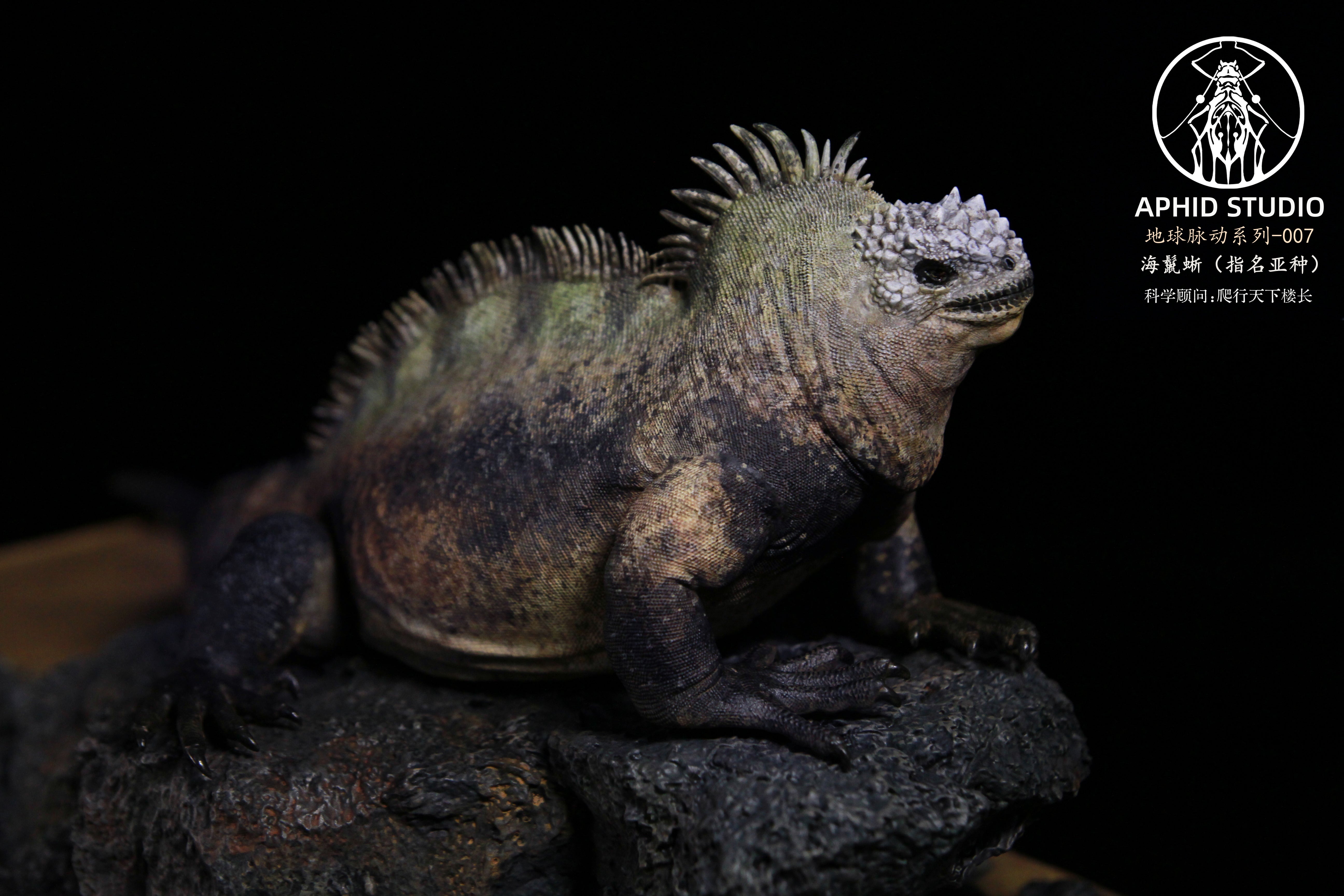 Modèle d'iguane marin d'APHID STUDIO
