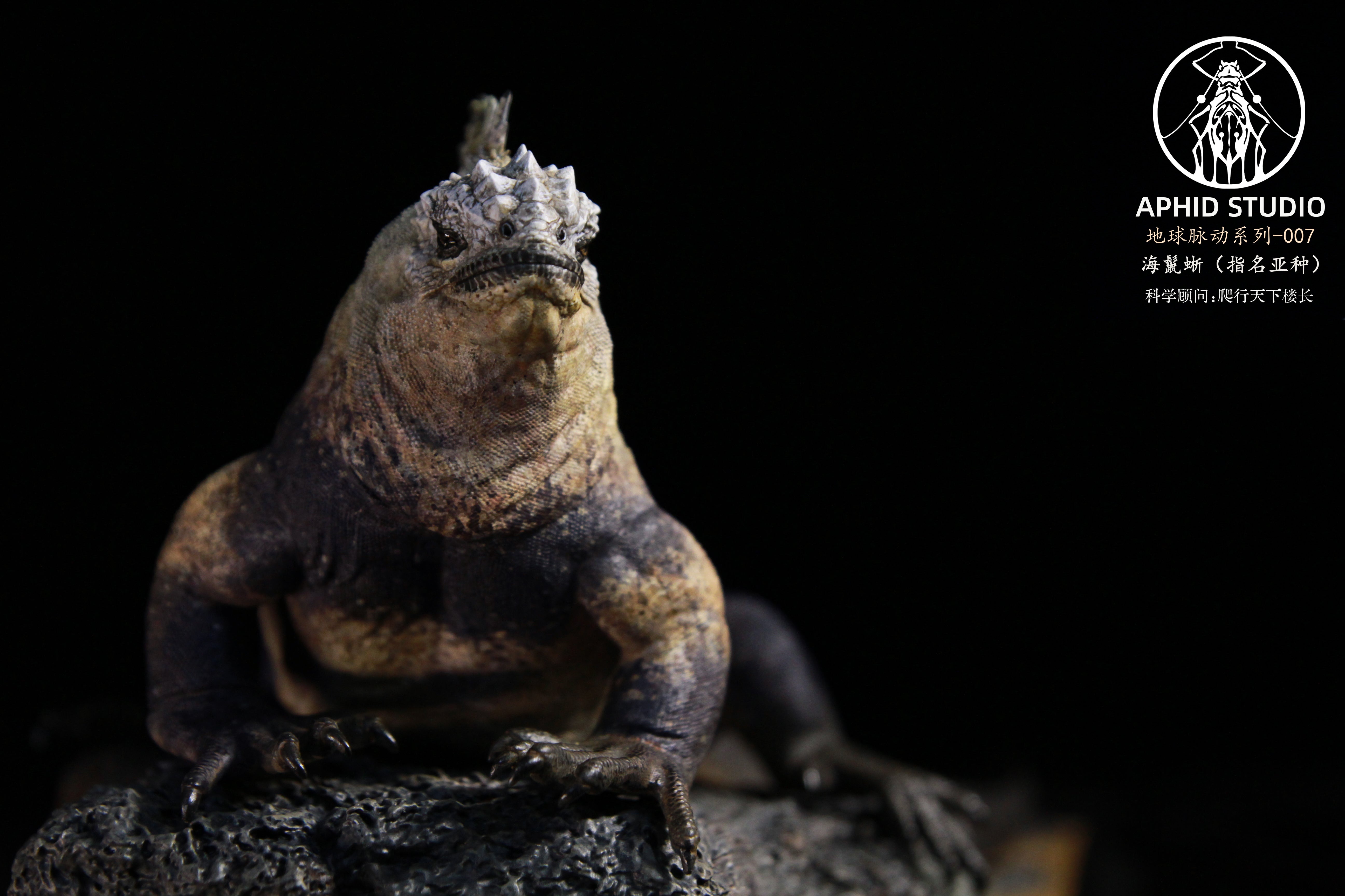 Modèle d'iguane marin d'APHID STUDIO