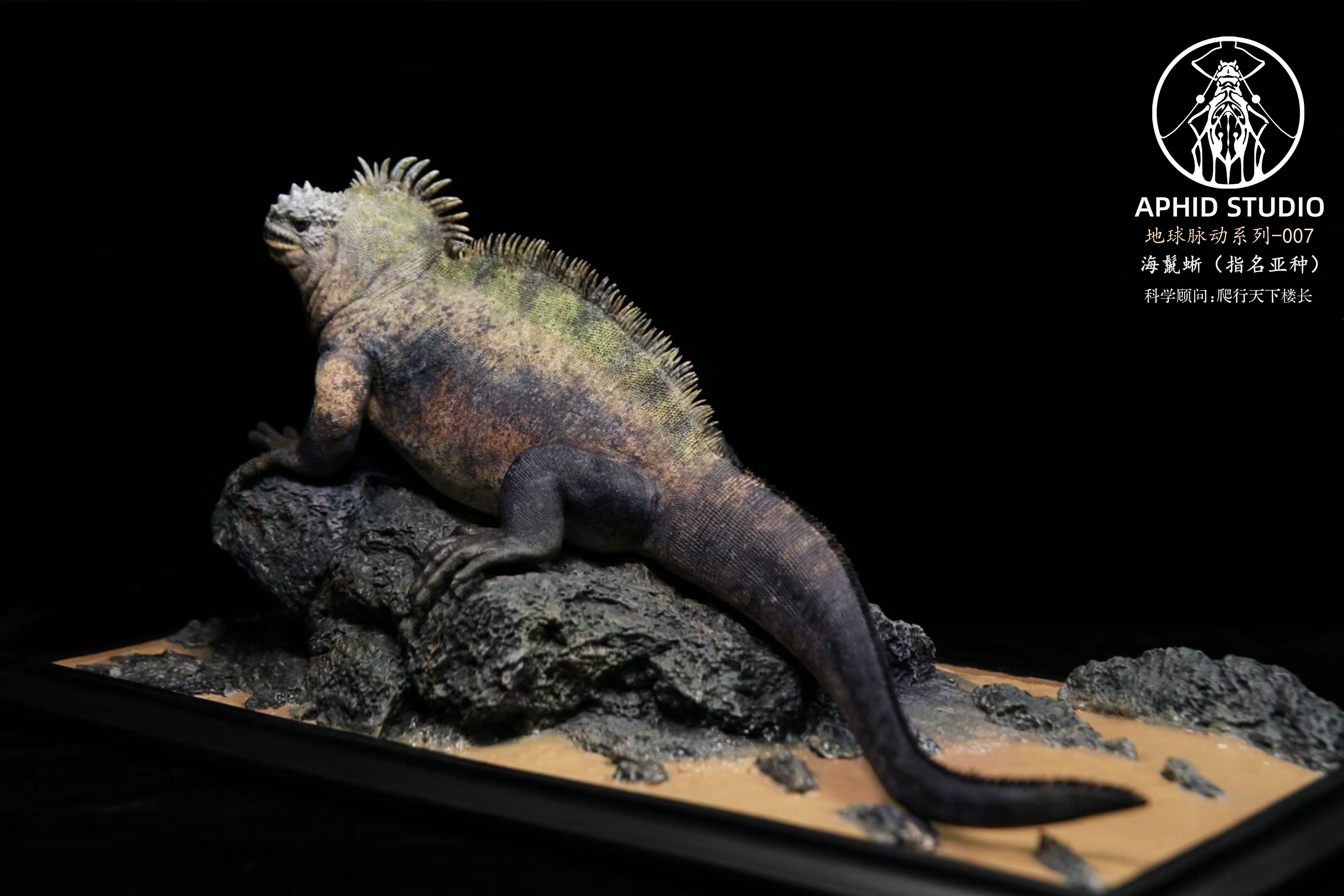 Modèle d'iguane marin d'APHID STUDIO